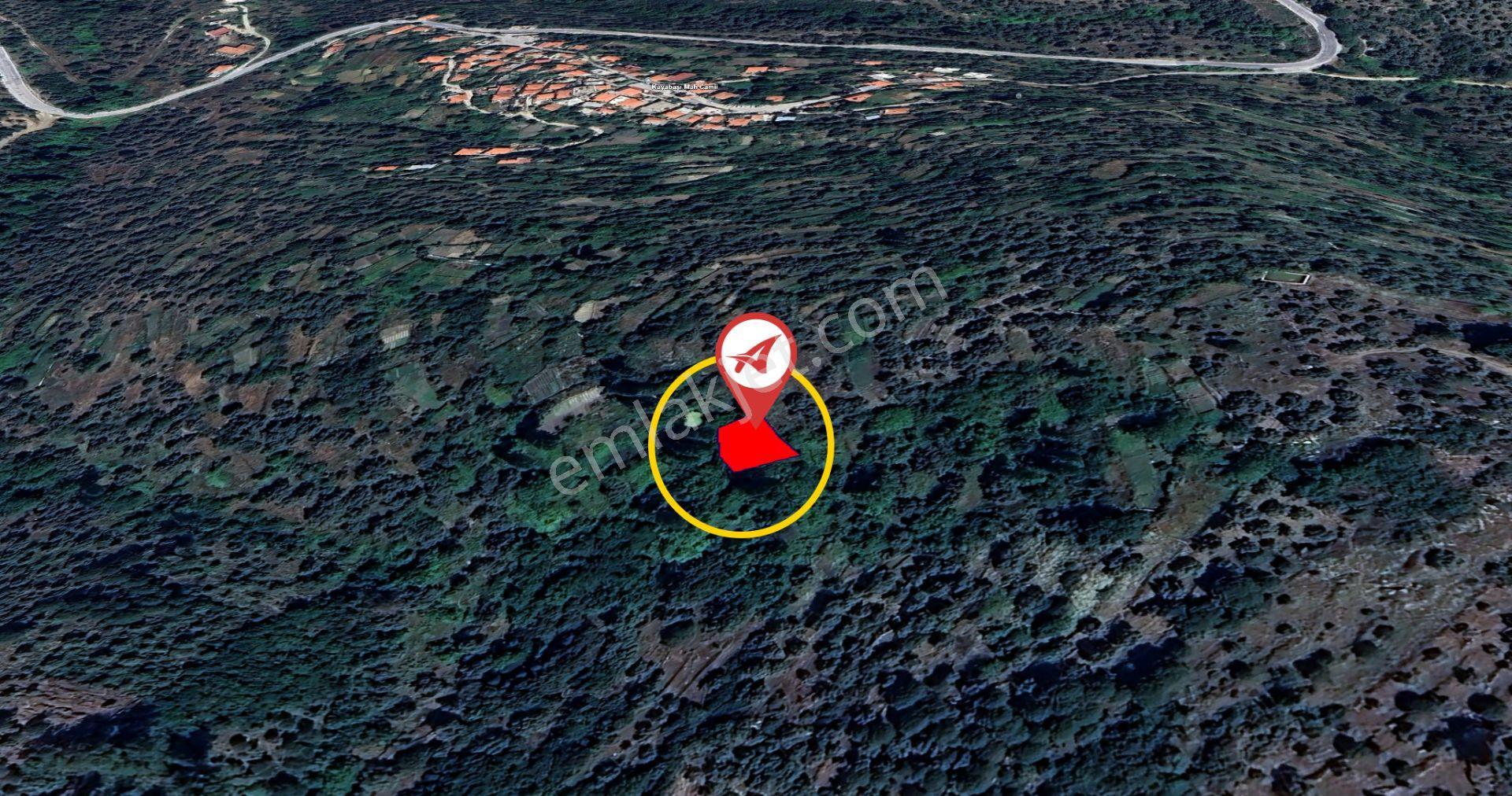 Muğla-milas-kayabaşı-satılık 332m2bahçe - Görsel 6