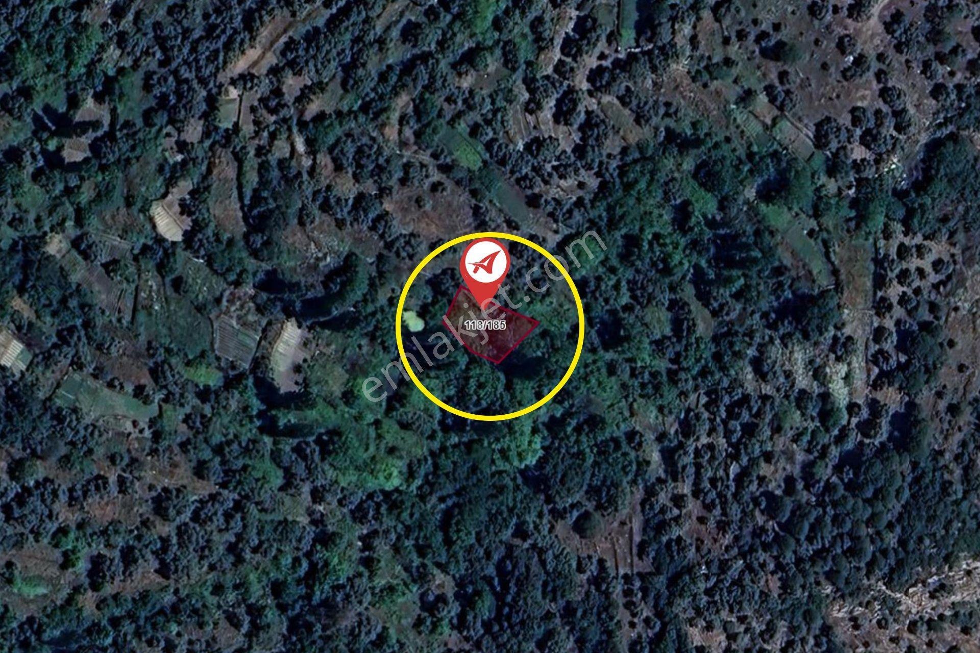 Muğla-milas-kayabaşı-satılık 332m2bahçe - Görsel 8