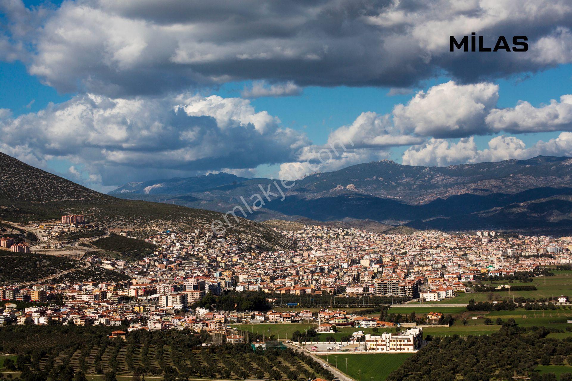 Muğla-milas-kayabaşı-satılık 332m2bahçe - Görsel 18