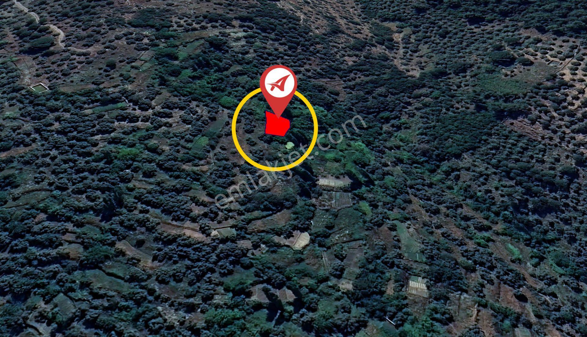 Muğla-milas-kayabaşı-satılık 332m2bahçe - Görsel 5