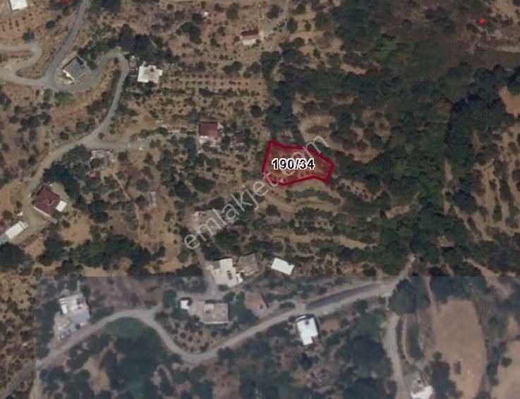 Alanya'da Köy Yerleşimi İçinde Hobi Bahçesine Uygun Kupon Tarla - Görsel 3