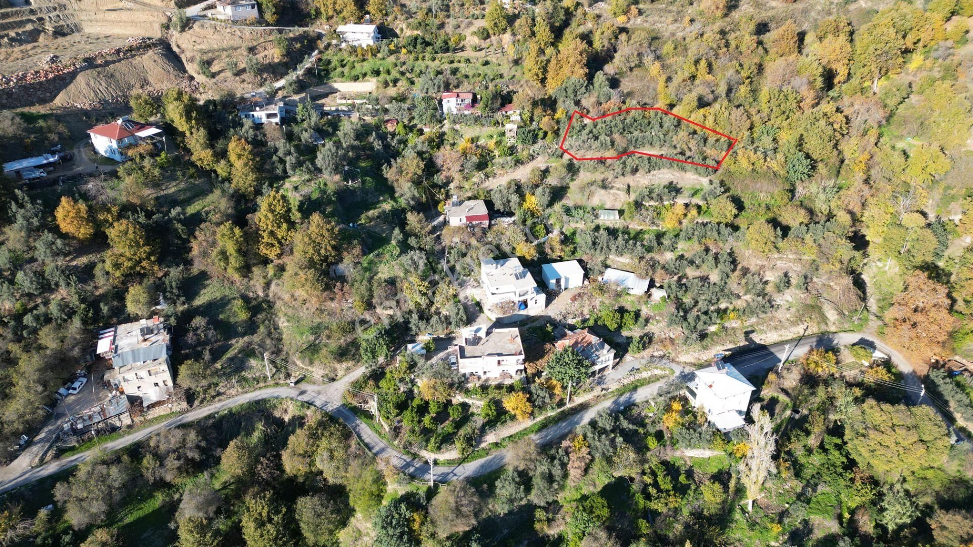 Alanya'da Köy Yerleşimi İçinde Hobi Bahçesine Uygun Kupon Tarla - Görsel 4