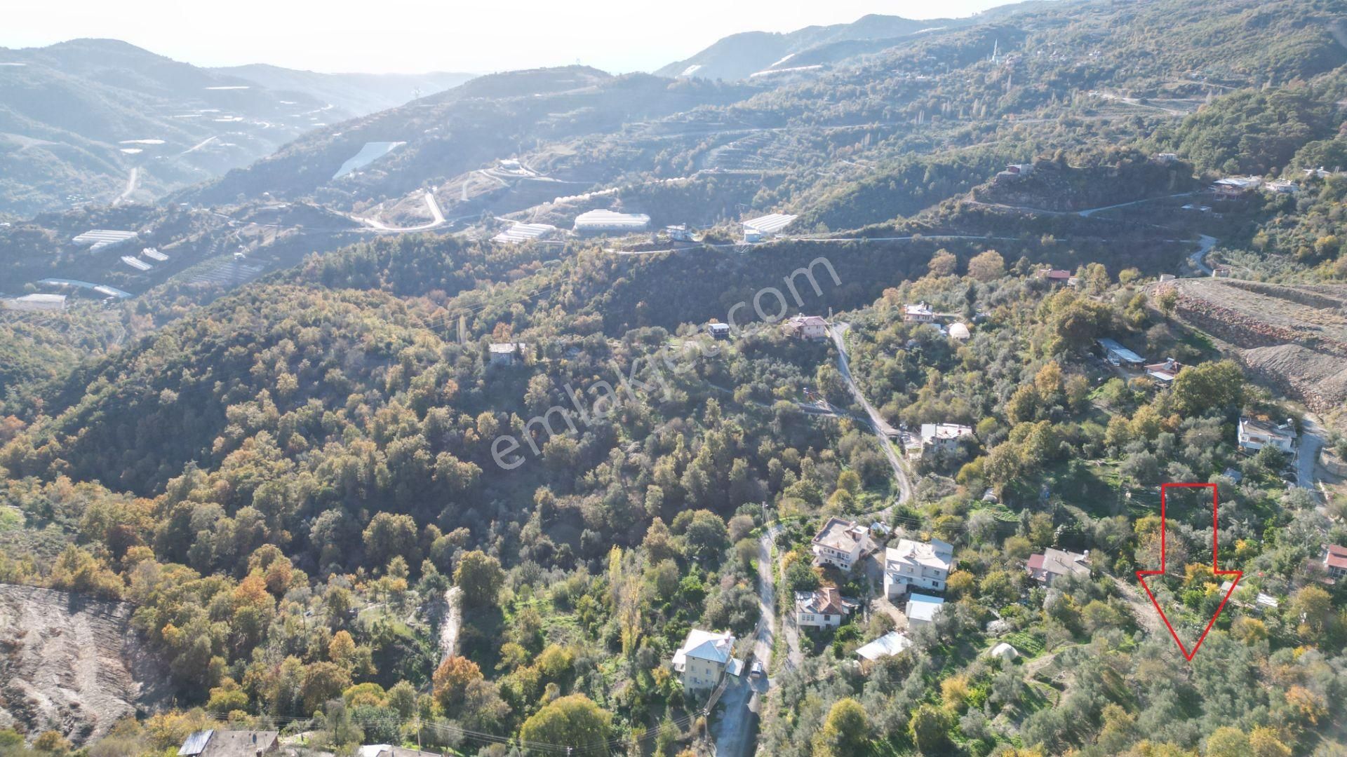 Alanya'da Köy Yerleşimi İçinde Hobi Bahçesine Uygun Kupon Tarla - Görsel 8