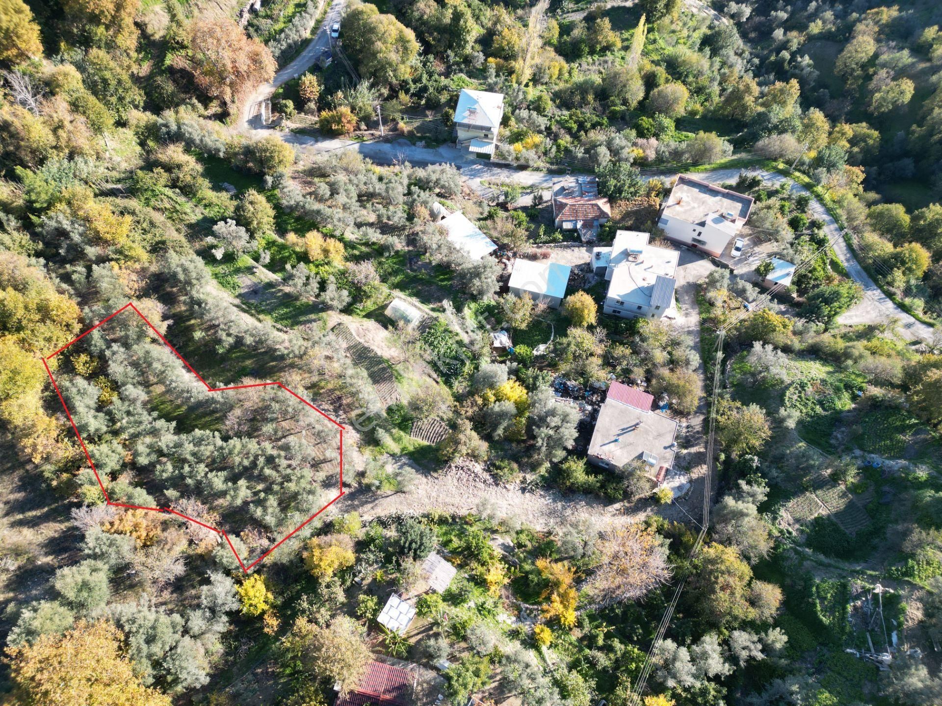 Alanya'da Köy Yerleşimi İçinde Hobi Bahçesine Uygun Kupon Tarla