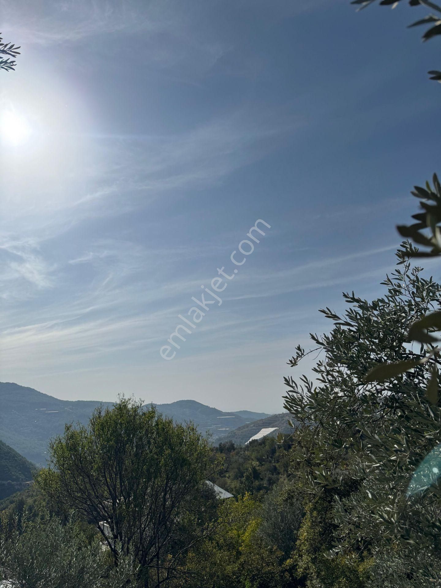 Alanya'da Köy Yerleşimi İçinde Hobi Bahçesine Uygun Kupon Tarla - Görsel 9
