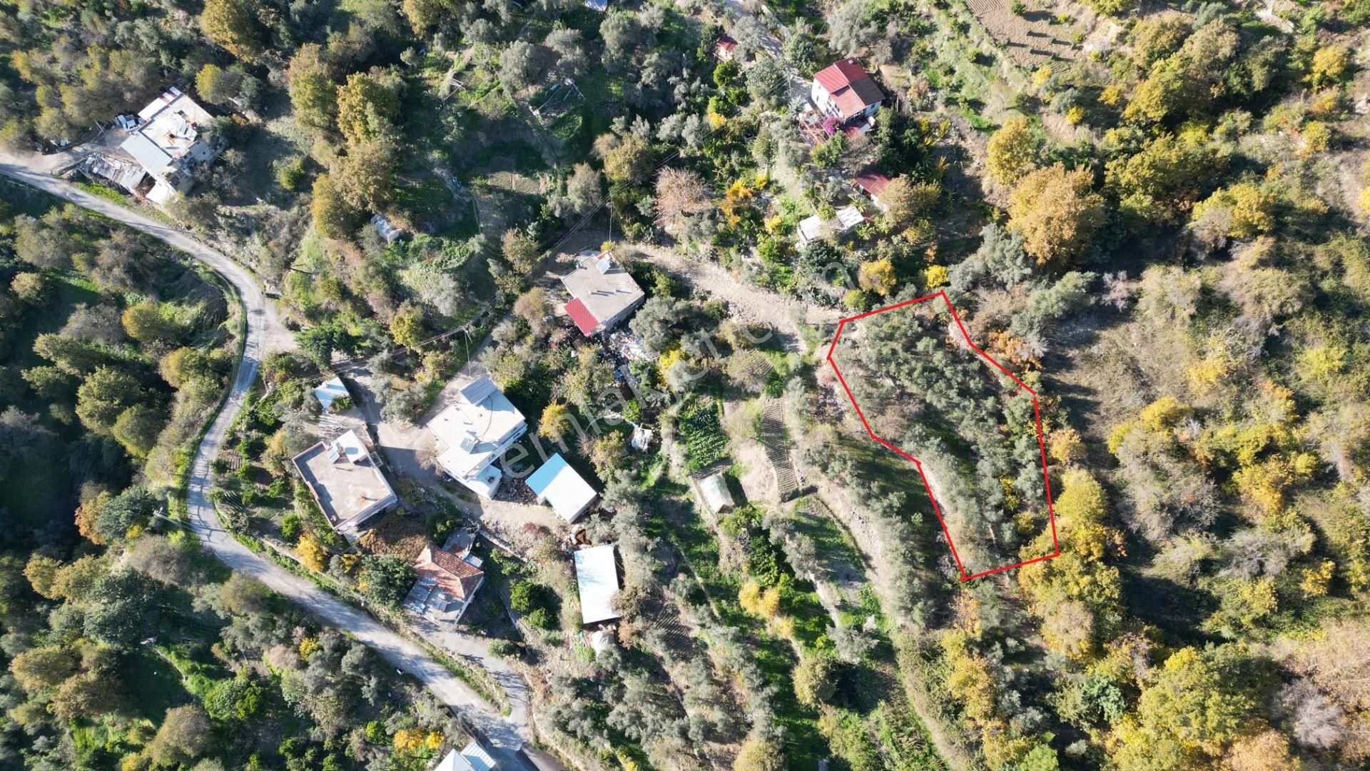 Alanya'da Köy Yerleşimi İçinde Hobi Bahçesine Uygun Kupon Tarla - Görsel 5