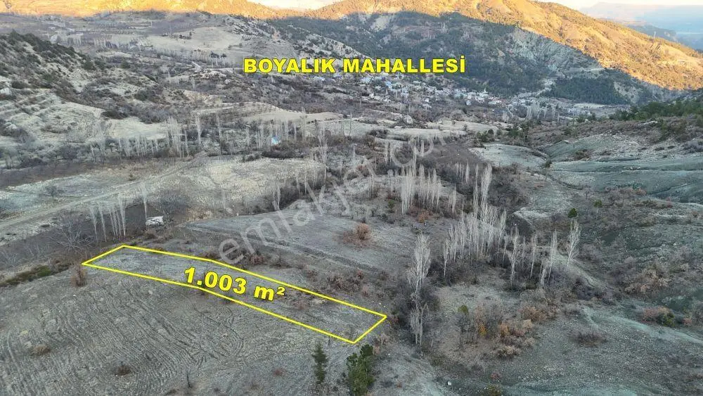 Karaman / Ermenek / Boyalık Mahallesinde 1.003 M² Müstakil Tapulu Tarla