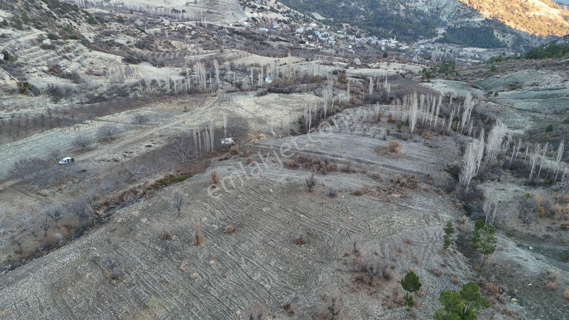 Karaman / Ermenek / Boyalık Mahallesinde 1.003 M² Müstakil Tapulu Tarla - Görsel 2