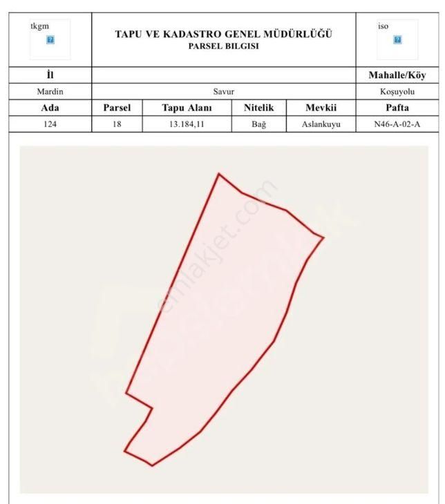 Yatırımlık Üzüm Bağı - Görsel 4
