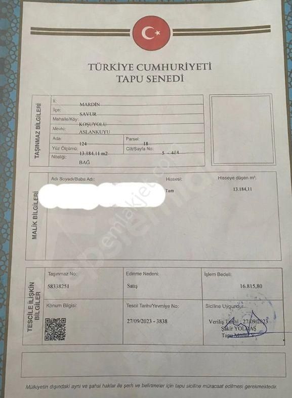 Yatırımlık Üzüm Bağı - Görsel 5