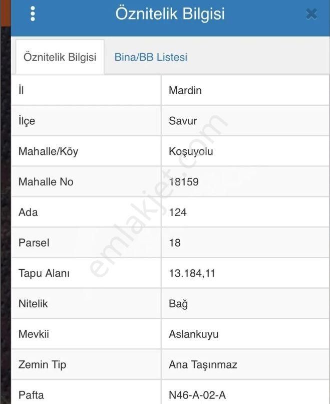 Yatırımlık Üzüm Bağı - Görsel 3