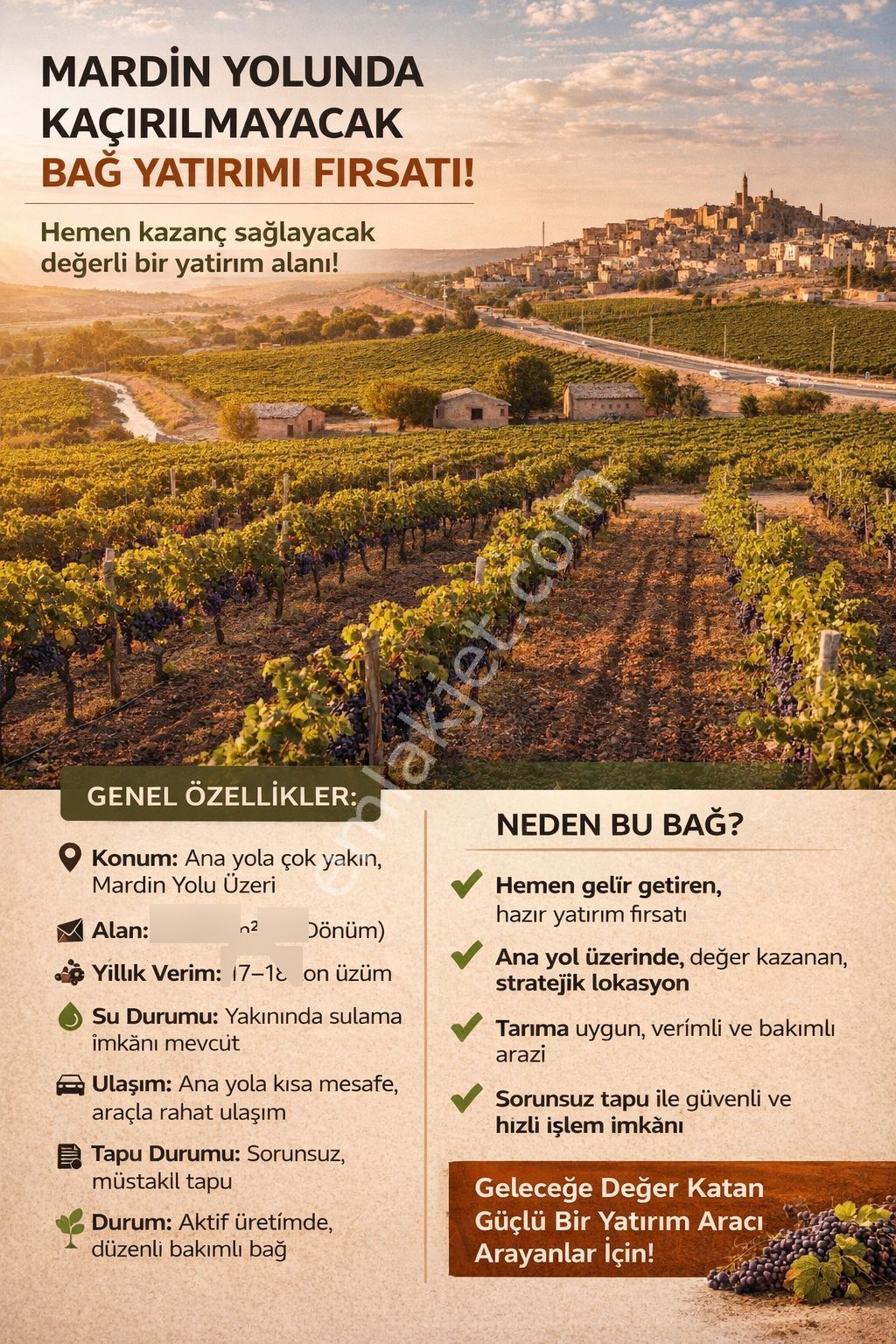 Yatırımlık Üzüm Bağı