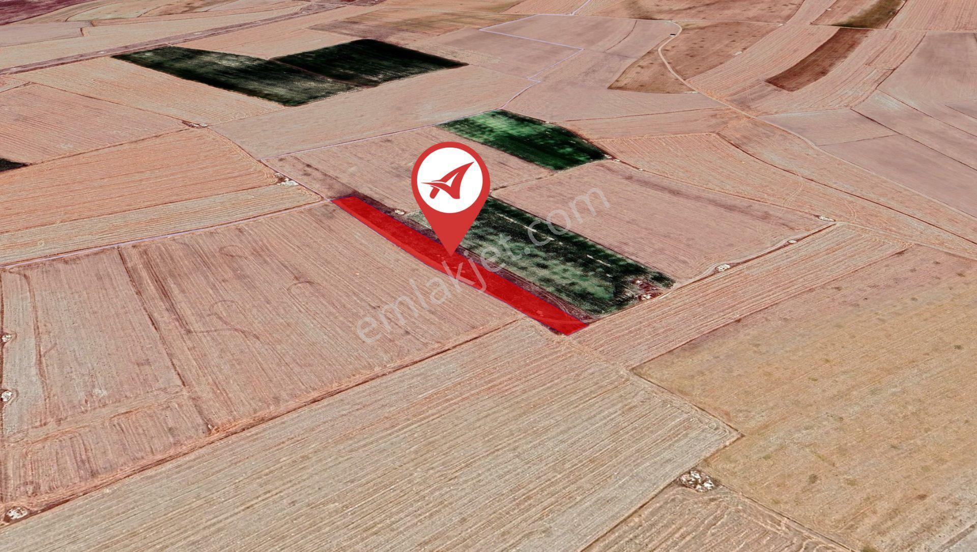 Nevşehir-hacıbektaş-başköy-satılık-7000m2tarla - Görsel 3