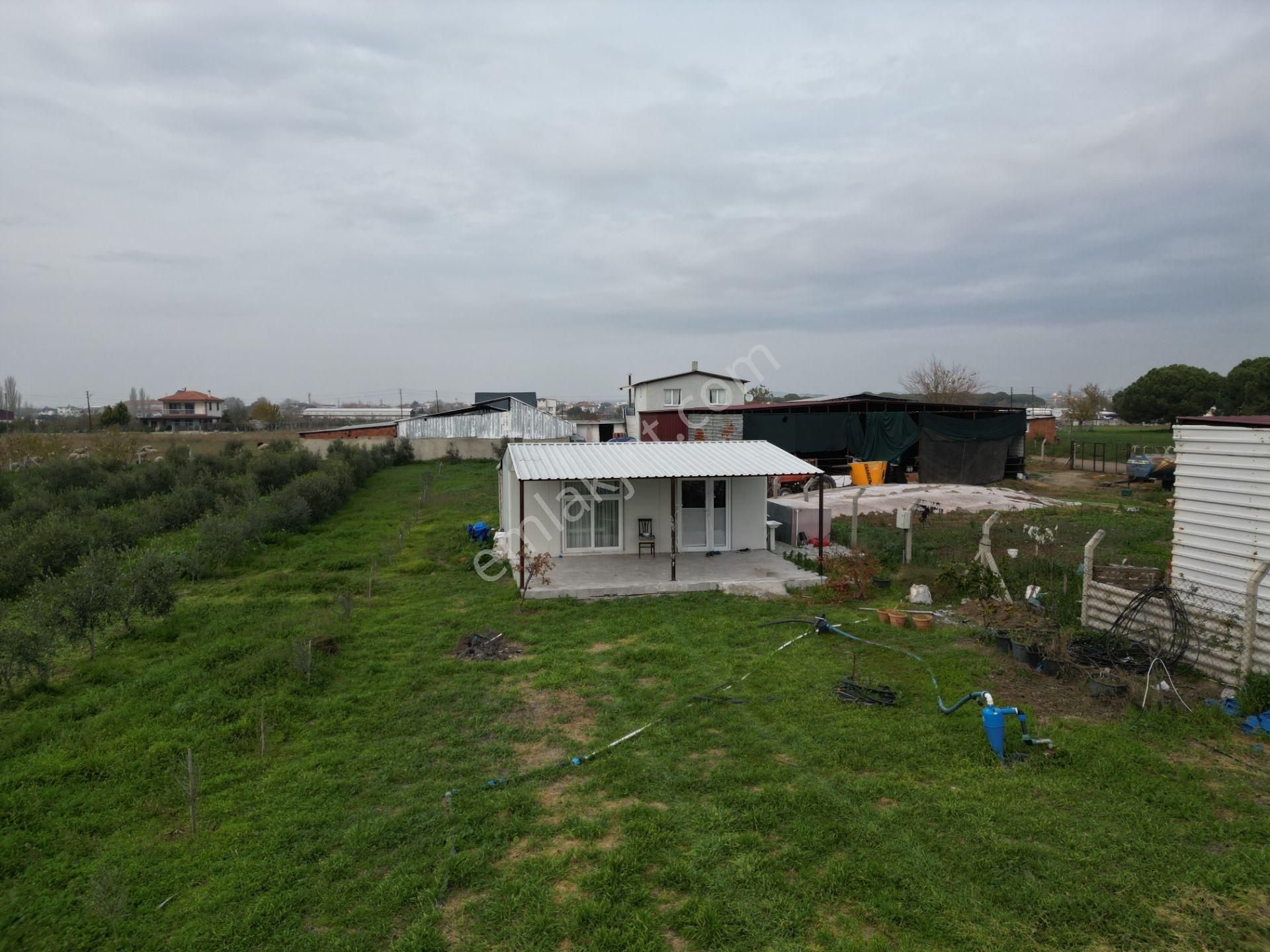 Ayvalık Altınova'da Satılık 3534m2 Bağ Tapulu Tarla - Görsel 30