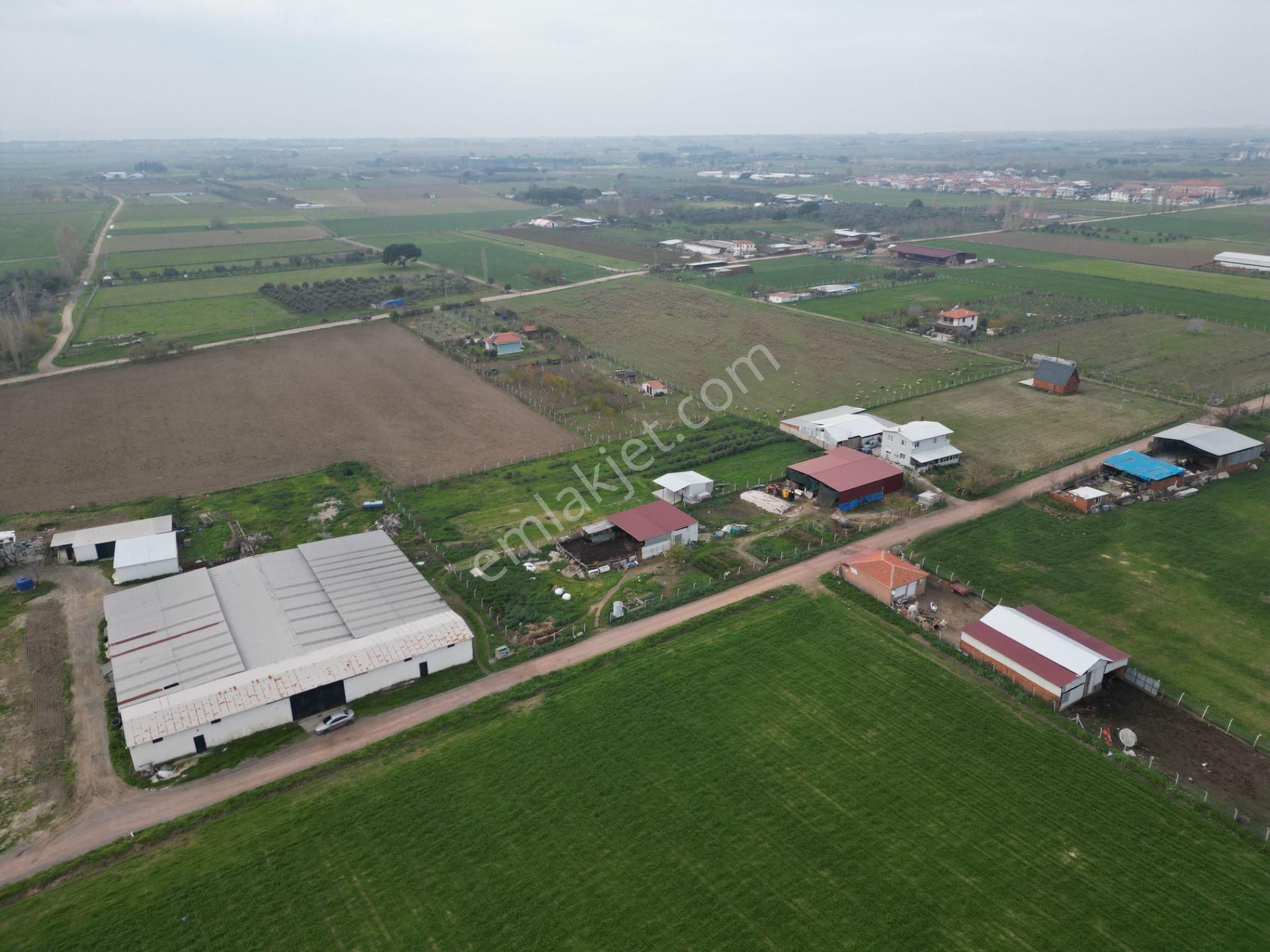 Ayvalık Altınova'da Satılık 3534m2 Bağ Tapulu Tarla - Görsel 21