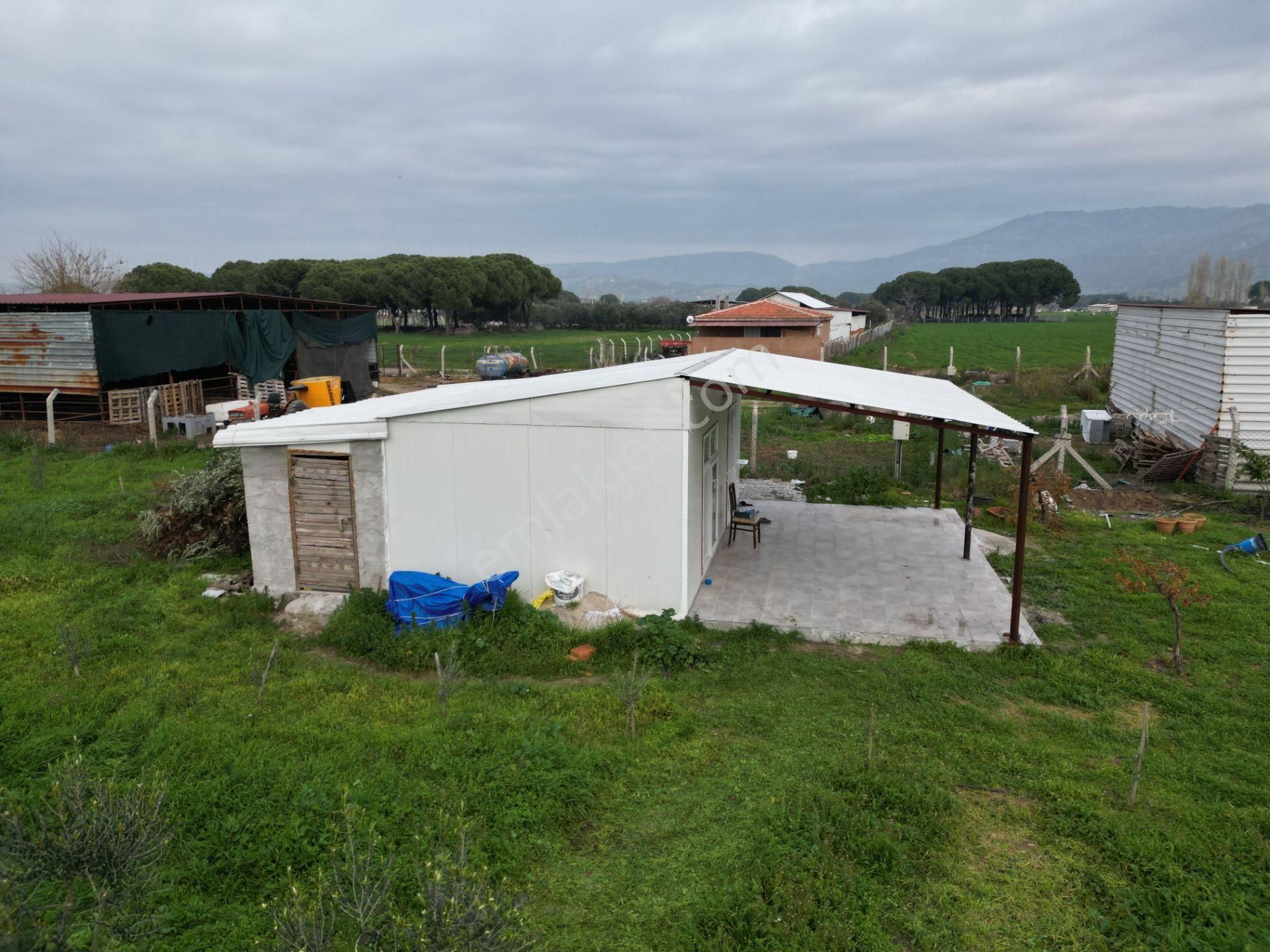 Ayvalık Altınova'da Satılık 3534m2 Bağ Tapulu Tarla - Görsel 34