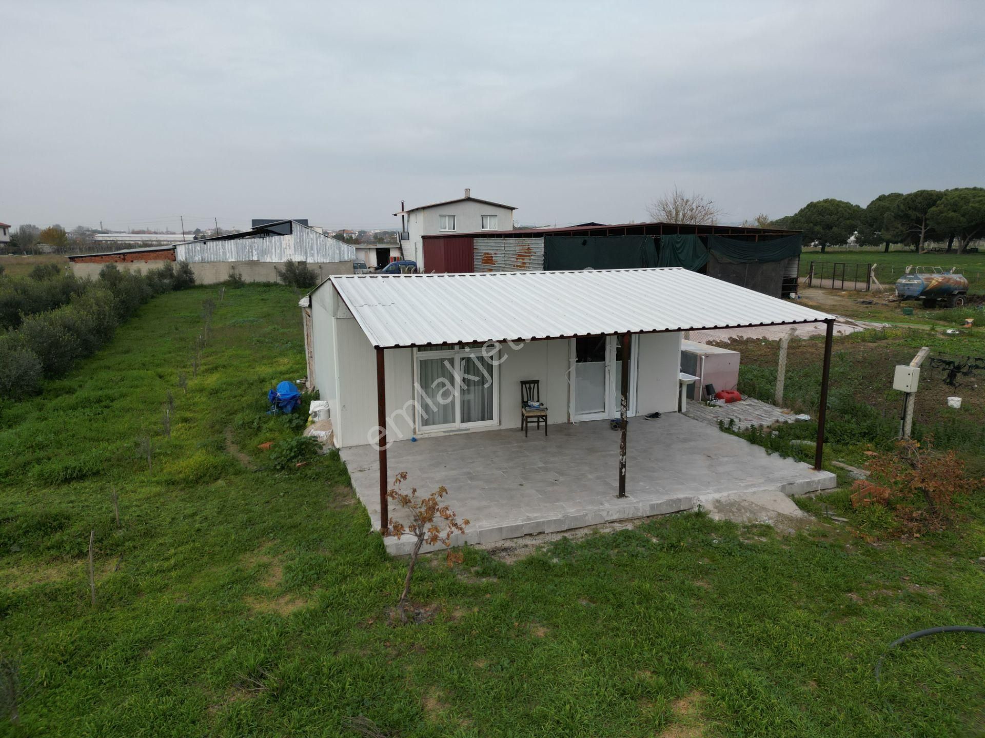 Ayvalık Altınova'da Satılık 3534m2 Bağ Tapulu Tarla - Görsel 32