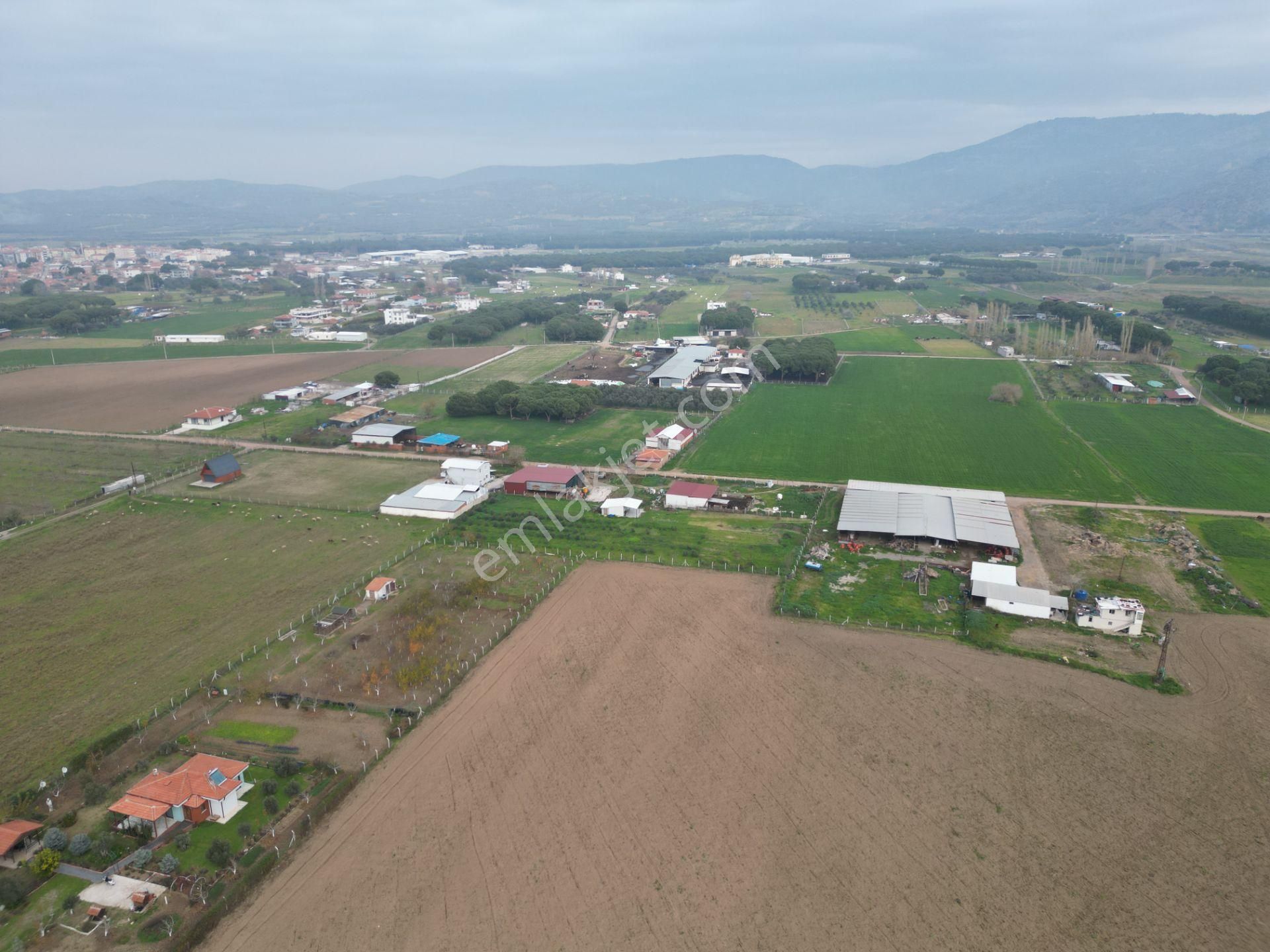 Ayvalık Altınova'da Satılık 3534m2 Bağ Tapulu Tarla - Görsel 16