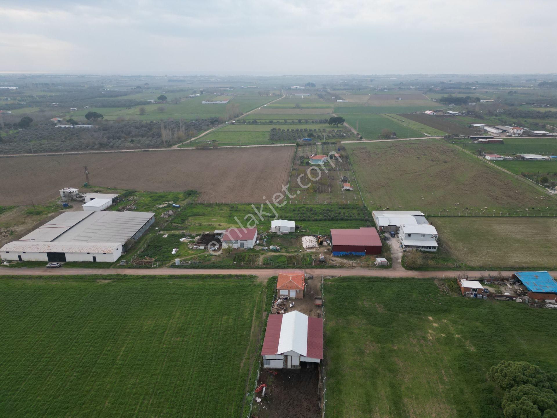 Ayvalık Altınova'da Satılık 3534m2 Bağ Tapulu Tarla - Görsel 22