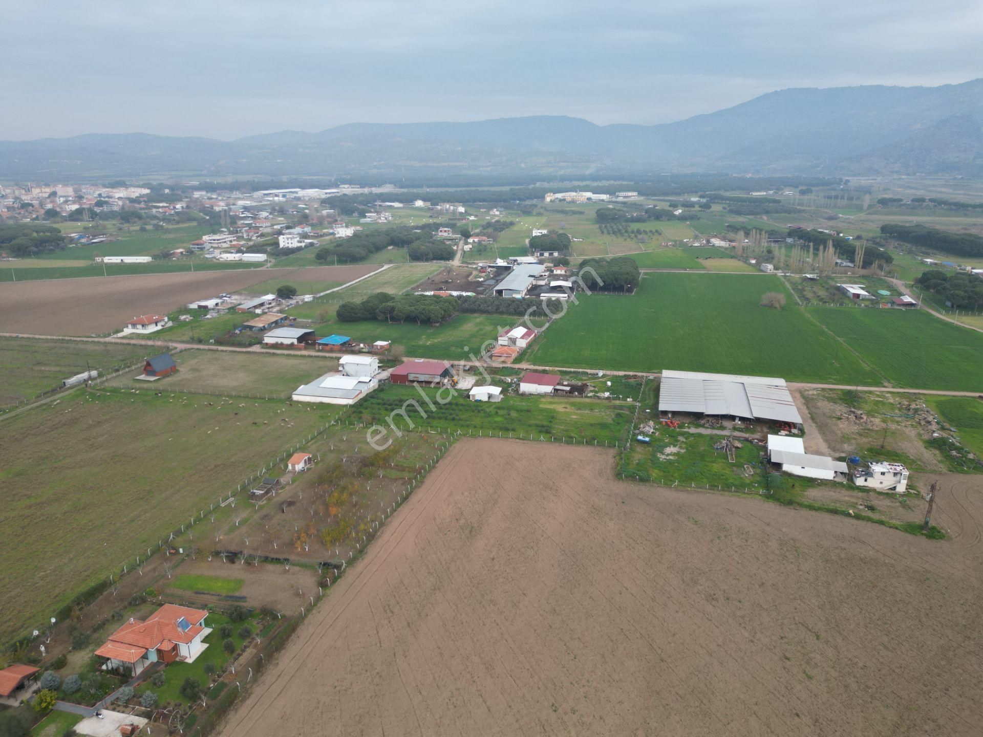 Ayvalık Altınova'da Satılık 3534m2 Bağ Tapulu Tarla - Görsel 17