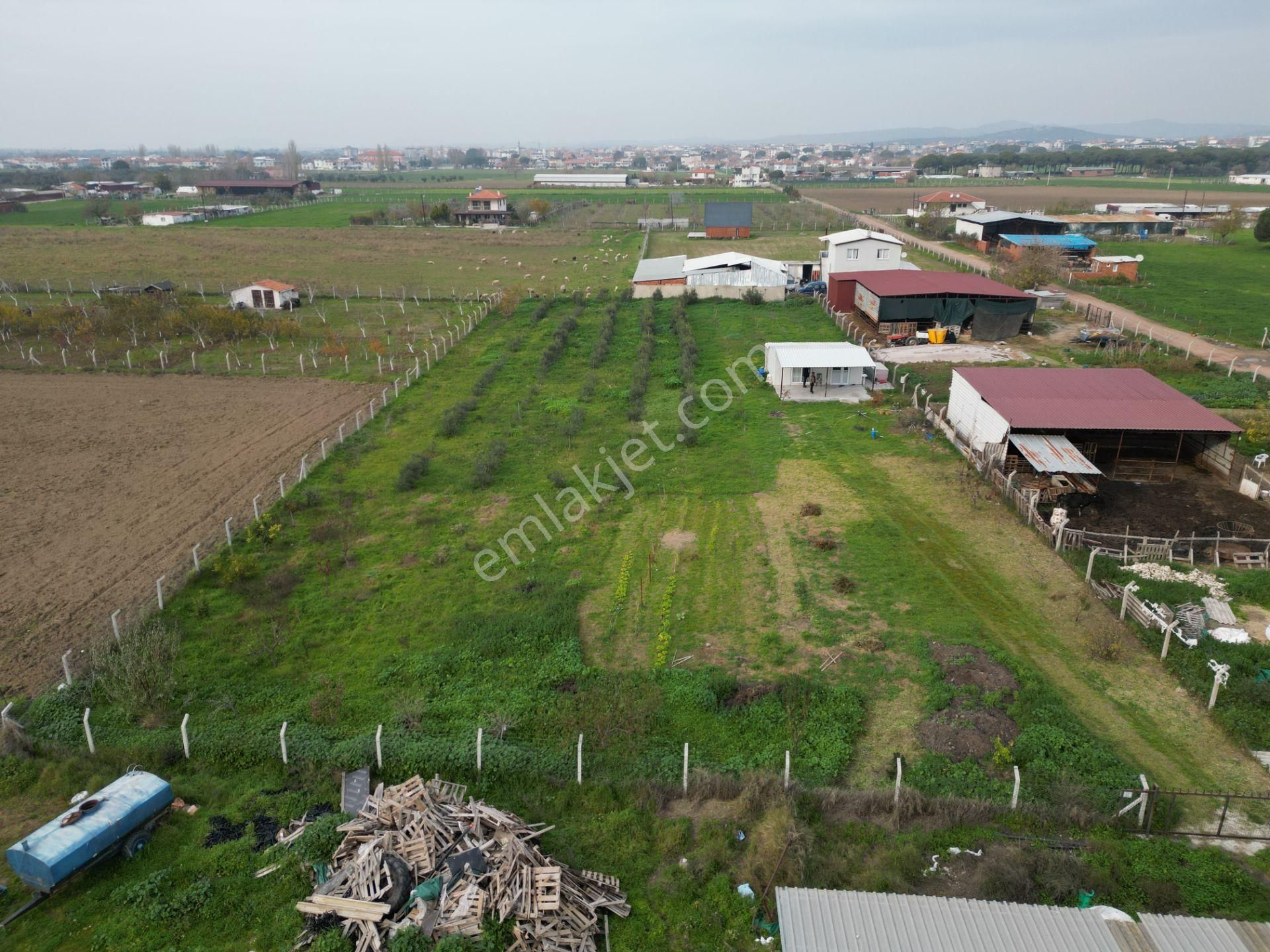 Ayvalık Altınova'da Satılık 3534m2 Bağ Tapulu Tarla - Görsel 29