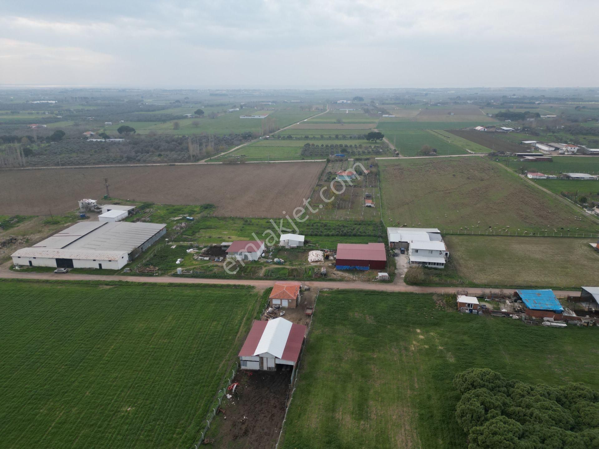 Ayvalık Altınova'da Satılık 3534m2 Bağ Tapulu Tarla - Görsel 23