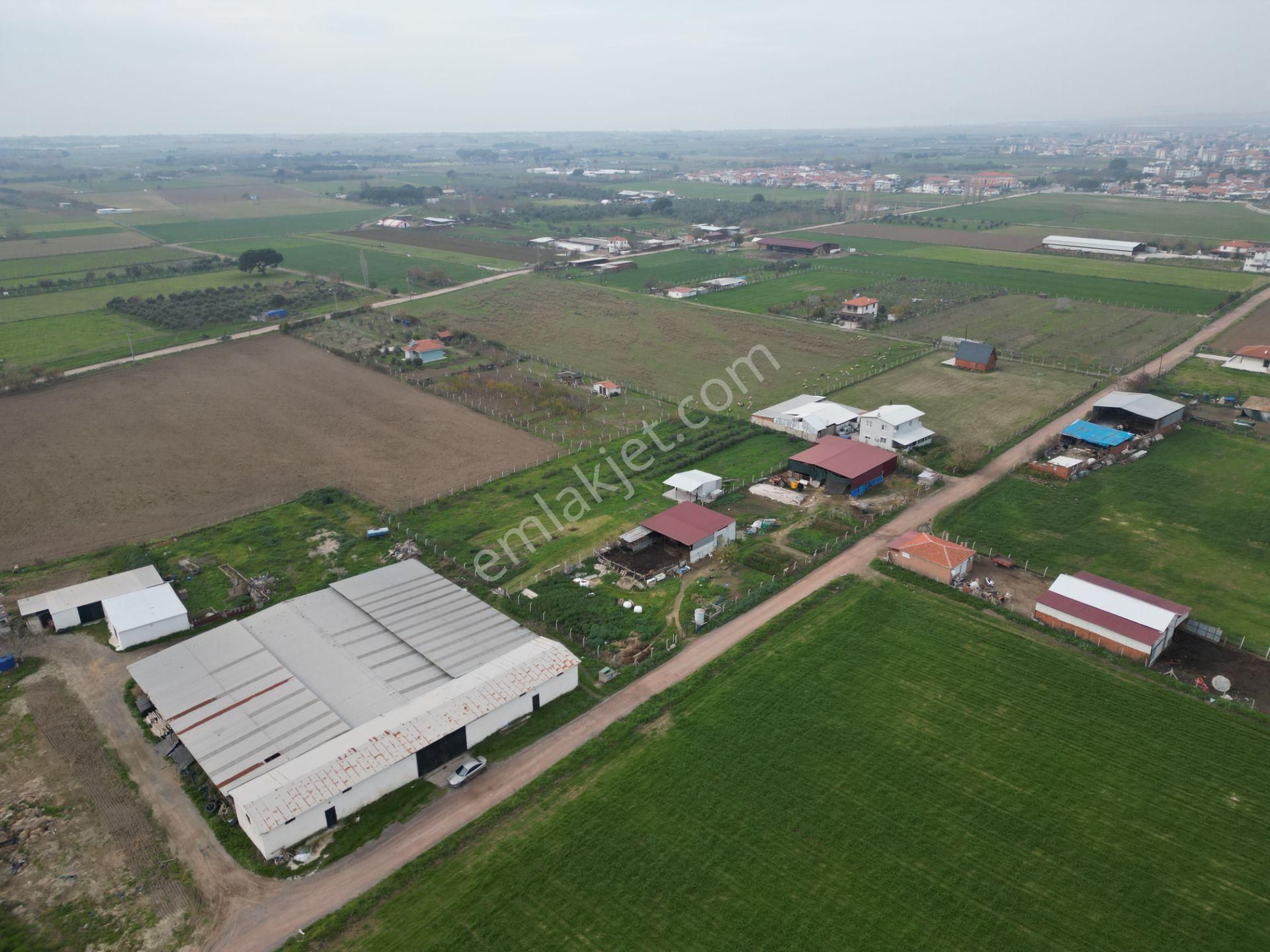 Ayvalık Altınova'da Satılık 3534m2 Bağ Tapulu Tarla - Görsel 20