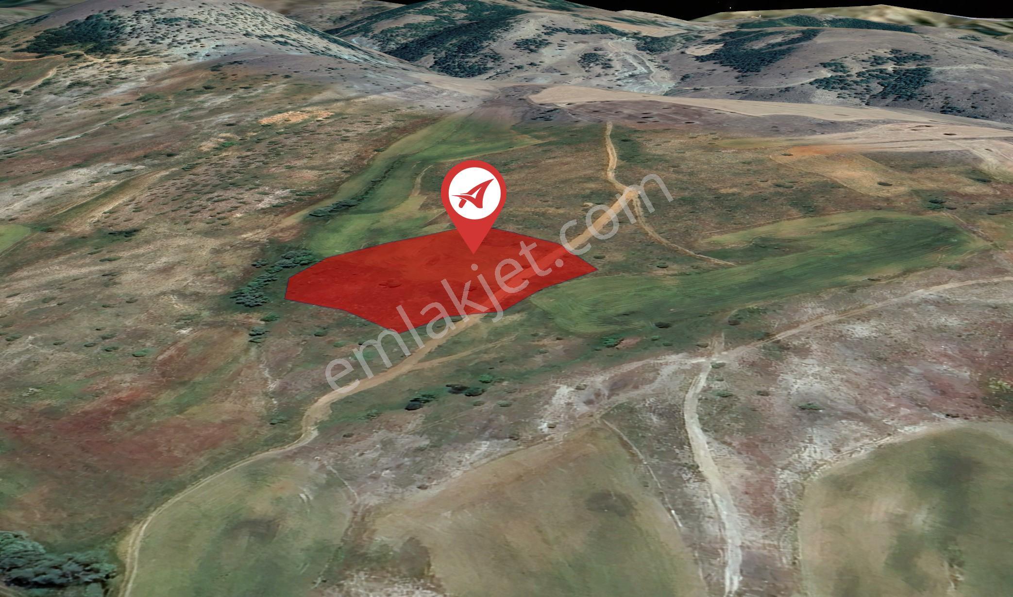 Sivas-yıldızeli-güneyyakayeşilyurt-satılık-8155m2tarla - Görsel 3