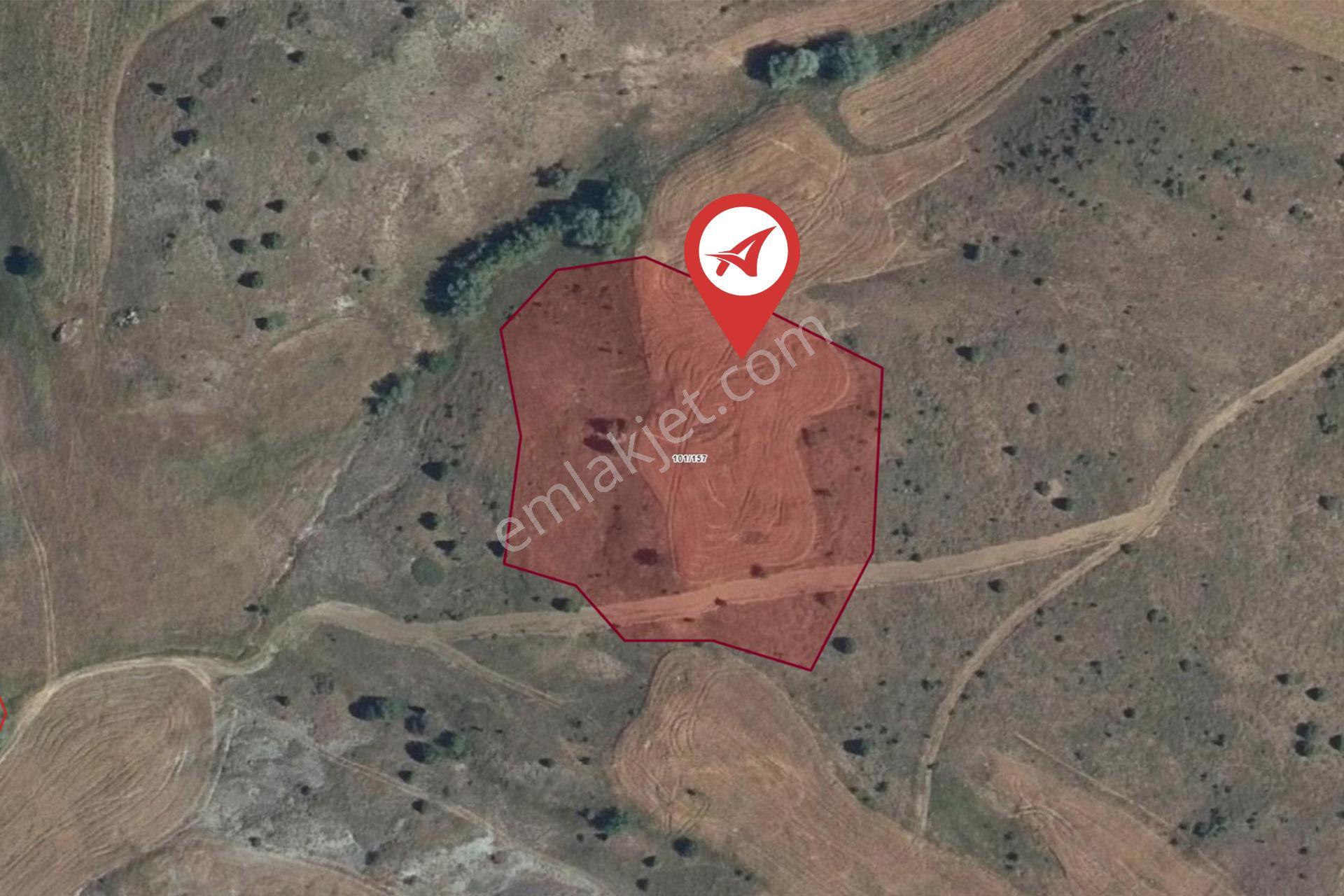 Sivas-yıldızeli-güneyyakayeşilyurt-satılık-8155m2tarla - Görsel 8