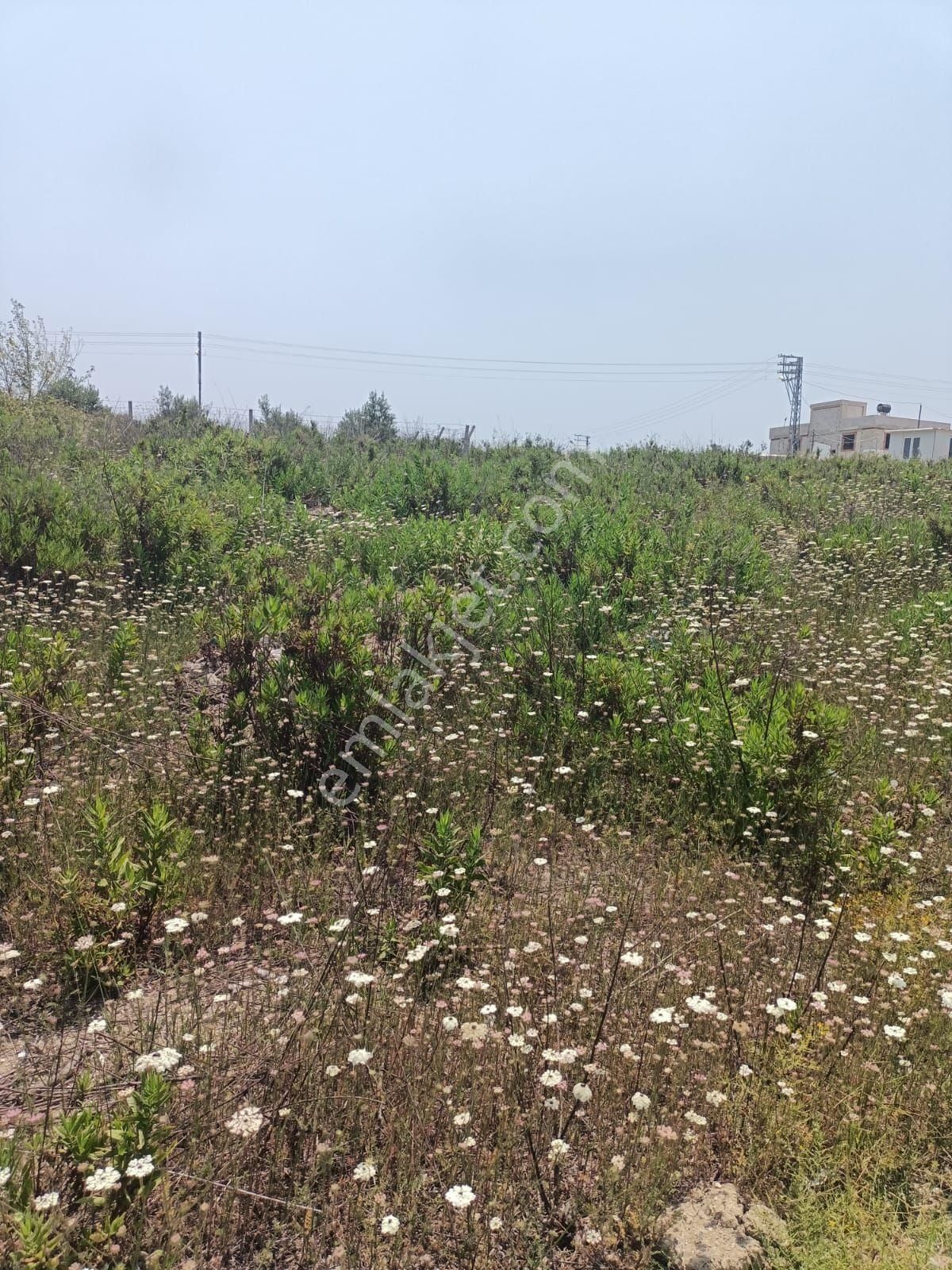 Karataş İskelede 397 M2 İmara Açık Arsamız Satılıktır - Görsel 23