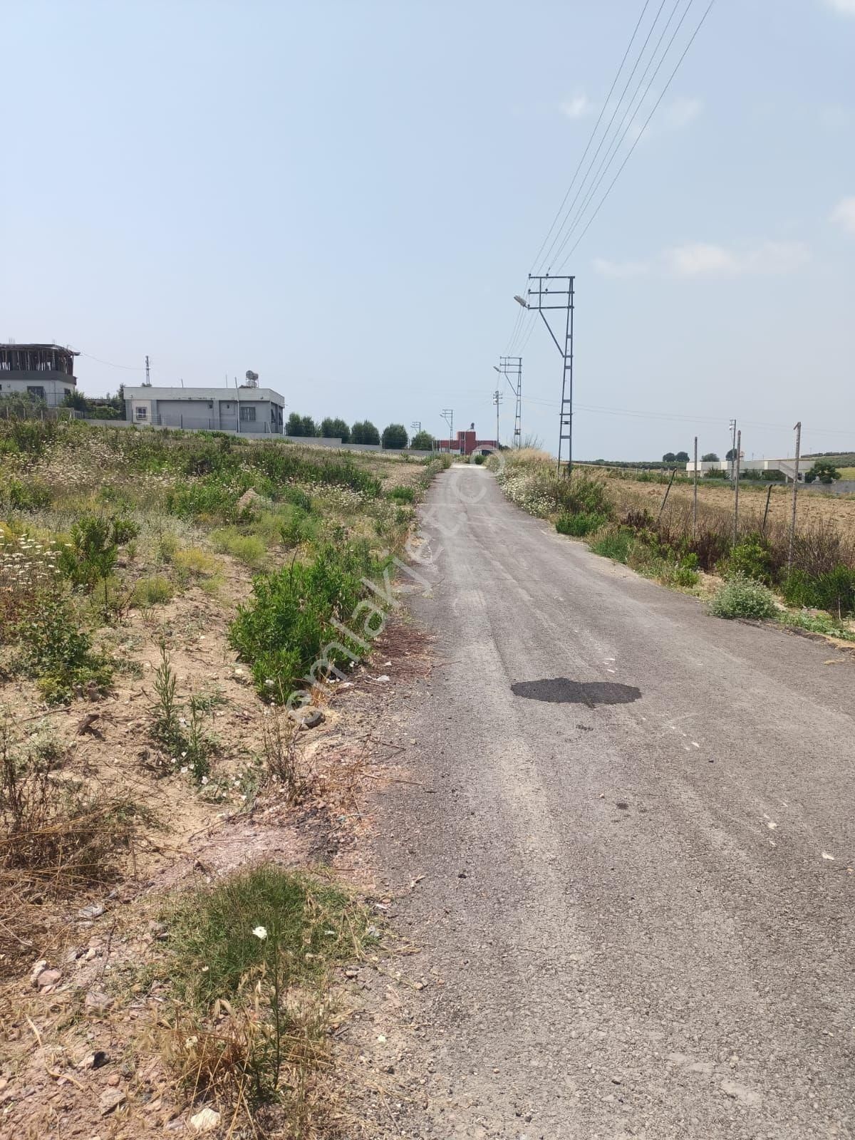 Karataş İskelede 397 M2 İmara Açık Arsamız Satılıktır - Görsel 6