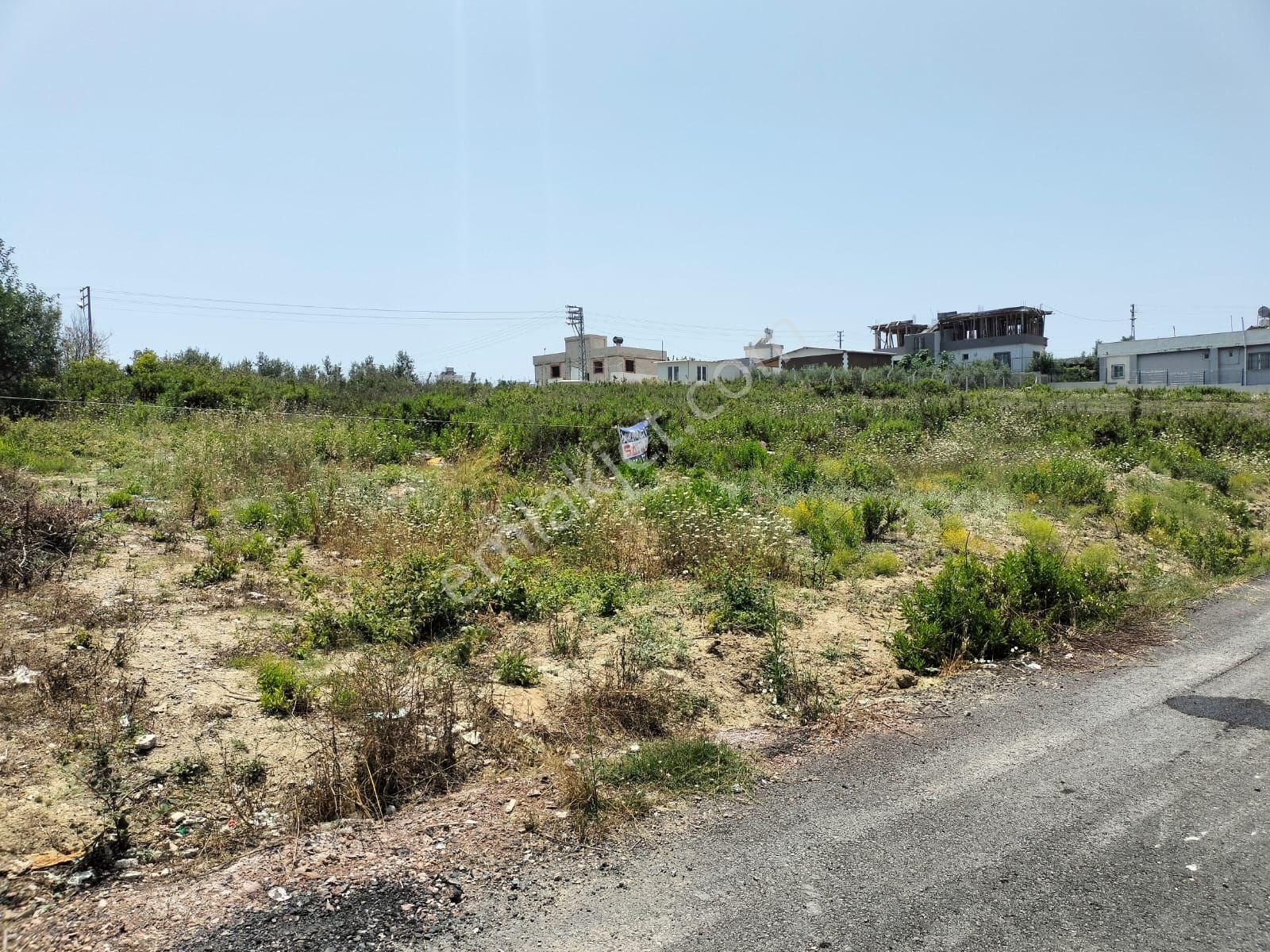 Karataş İskelede 397 M2 İmara Açık Arsamız Satılıktır - Görsel 2