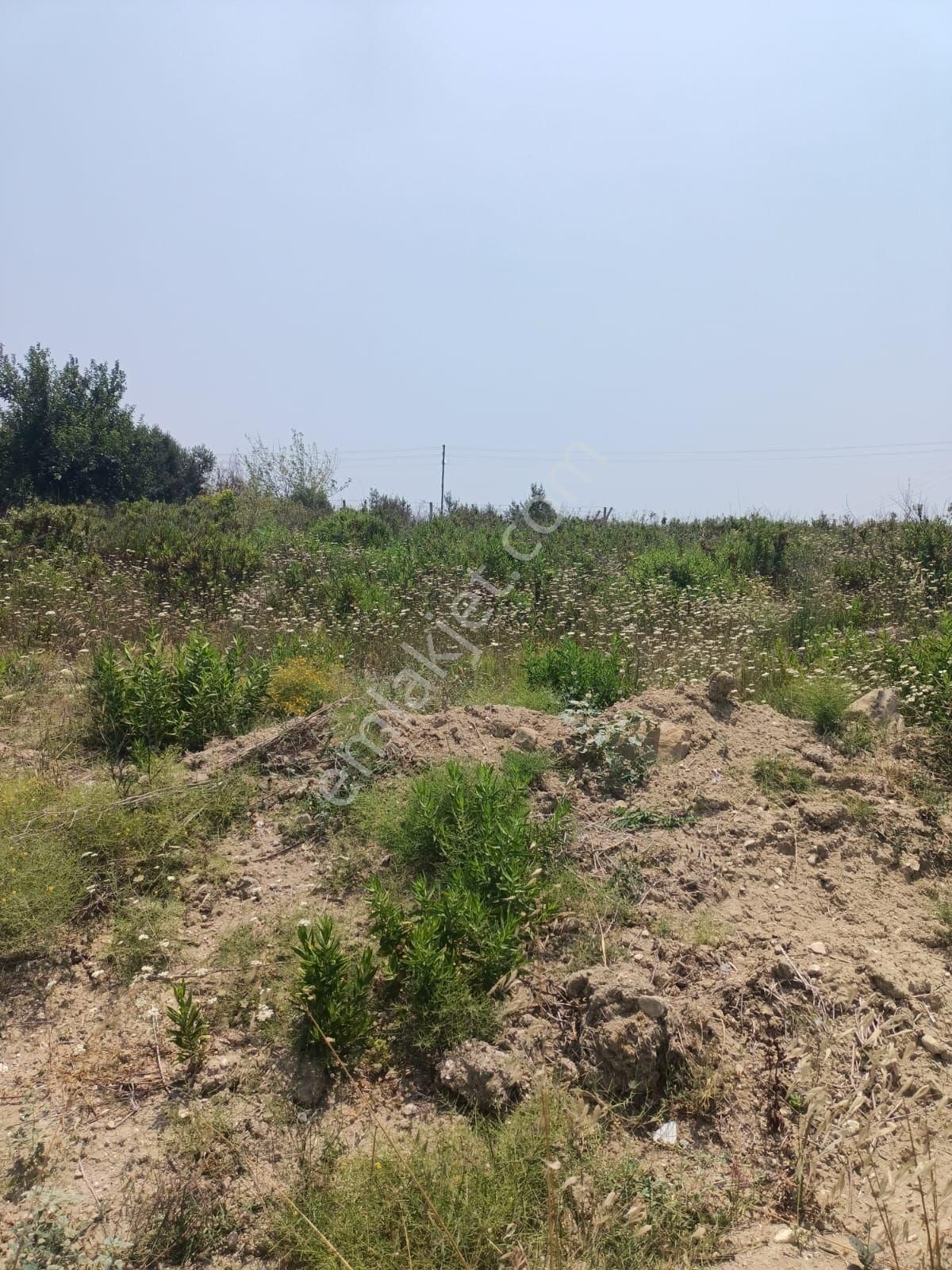 Karataş İskelede 397 M2 İmara Açık Arsamız Satılıktır - Görsel 9