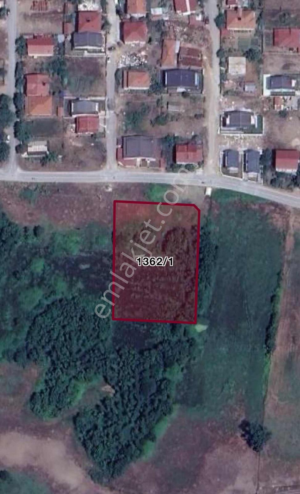 Sakarya Kocaali Yalı Mahallesinde 3372m2 İmarlı Arsa