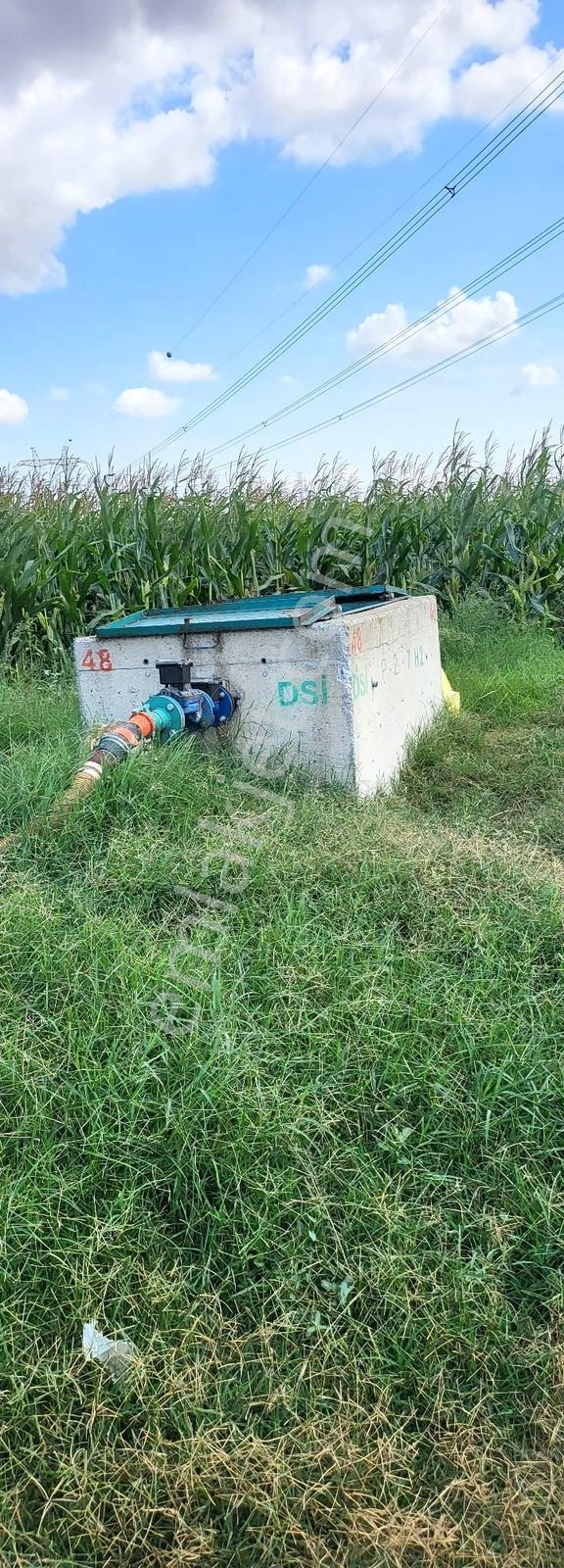 Çanakkale Biga Bekirli Köyü Kadastral Yola Cepheli Satılık Tarla - Görsel 3