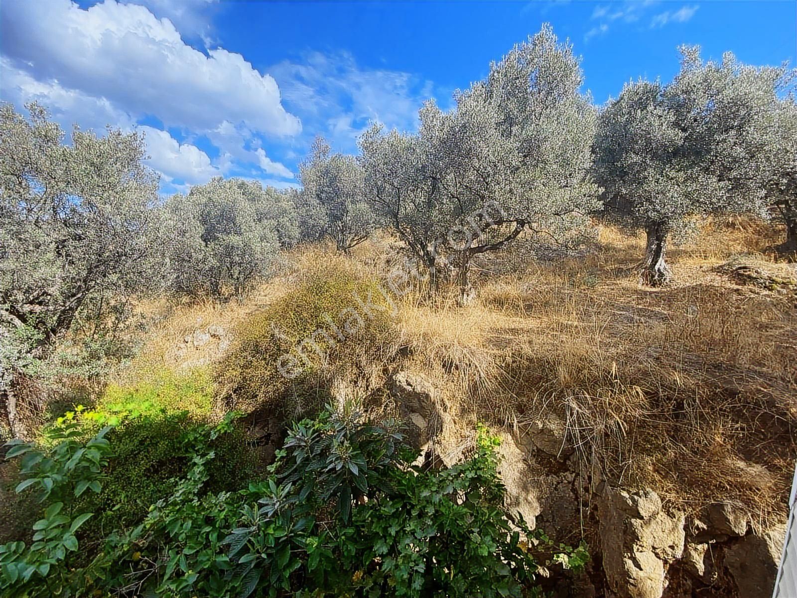 Mudanya Kaptal'den Kumyakada 5+3 Müstakil Ev - Görsel 10