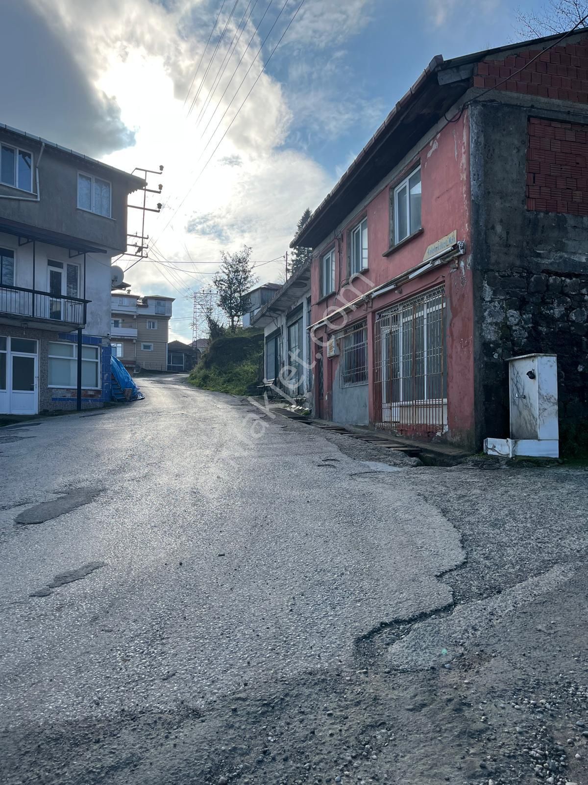 Ordu Perşembe Boğazcık Köyünde Satılık Verimli Fındık Bahçesi - Görsel 4