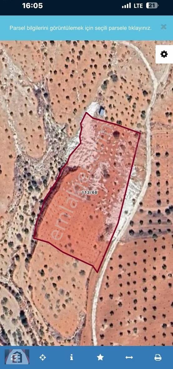 Battal Mahallesi'nde Yolu Olan Tarla