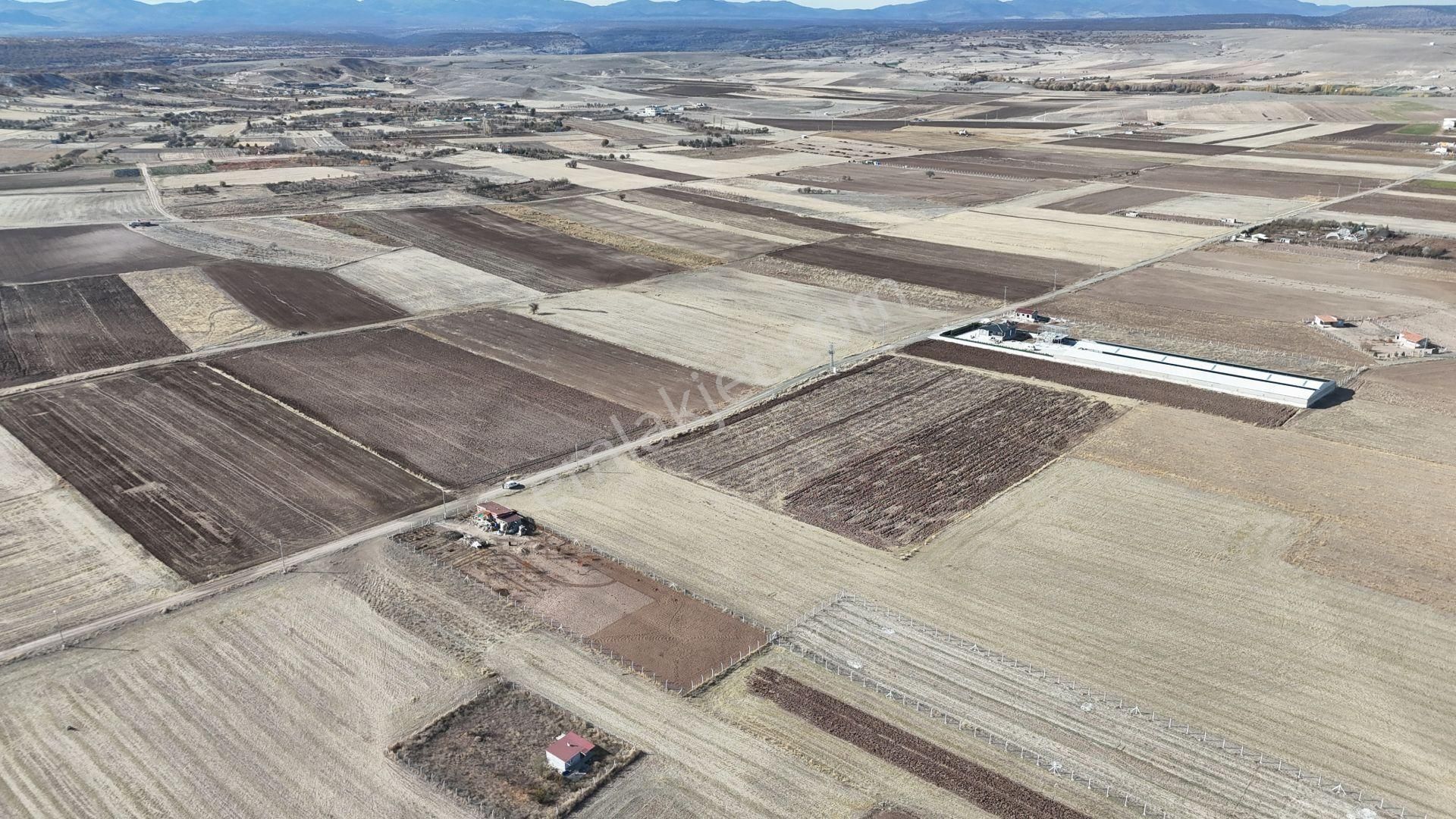 Konya / Meram / Hatunsaray Mahallesinde 519 M² Hisse Tapulu Tarla - Görsel 7
