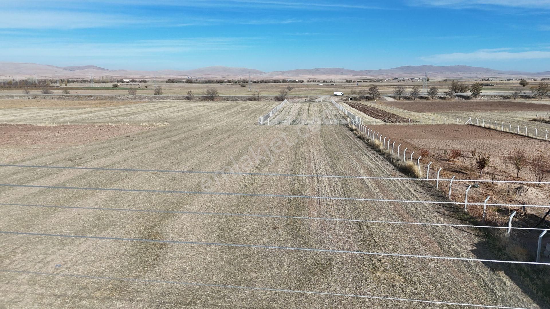 Konya / Meram / Hatunsaray Mahallesinde 519 M² Hisse Tapulu Tarla - Görsel 5