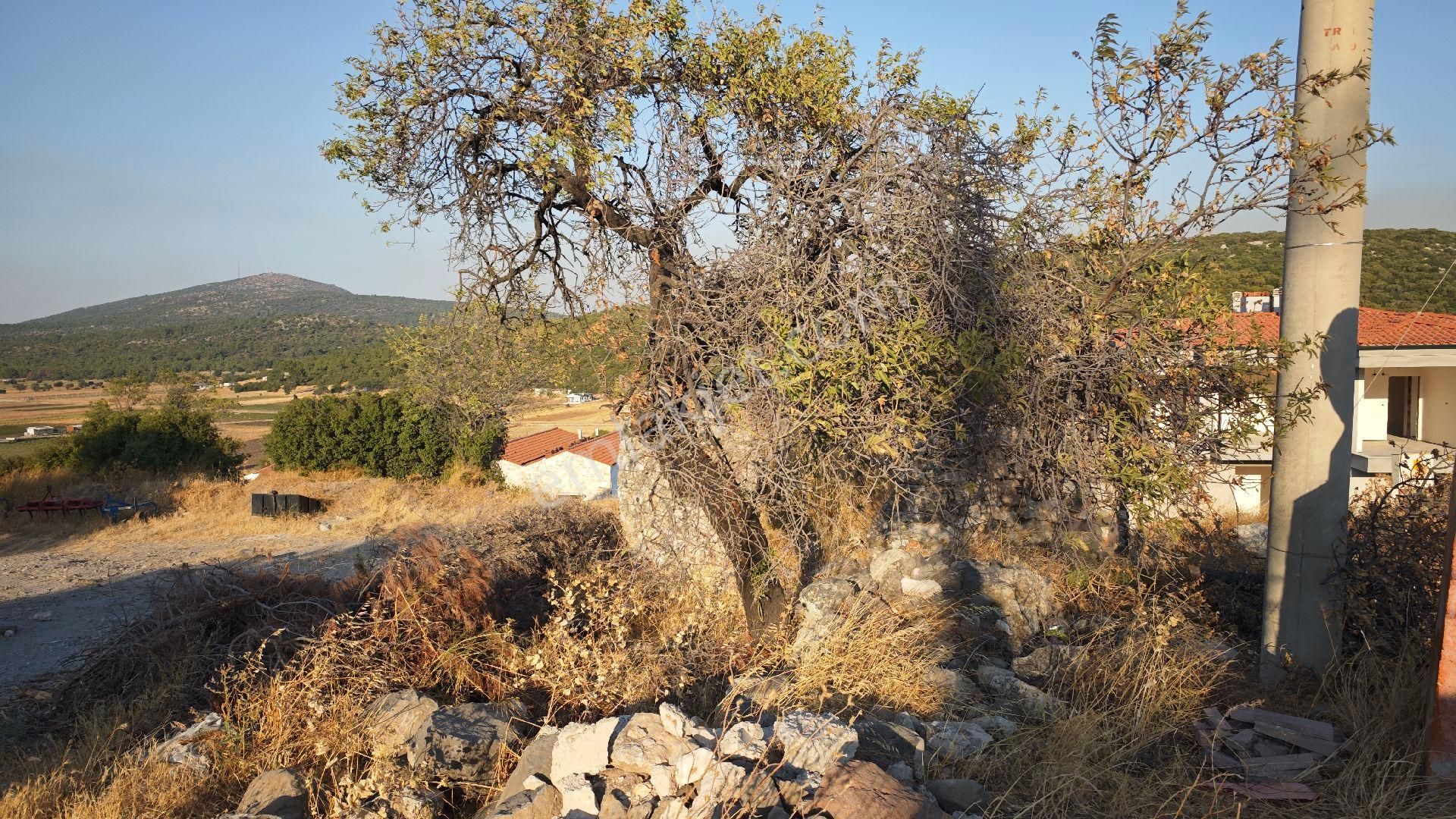 Urla Kadıovacık Köyü Köy İçinde Satılık Arazi - Görsel 8