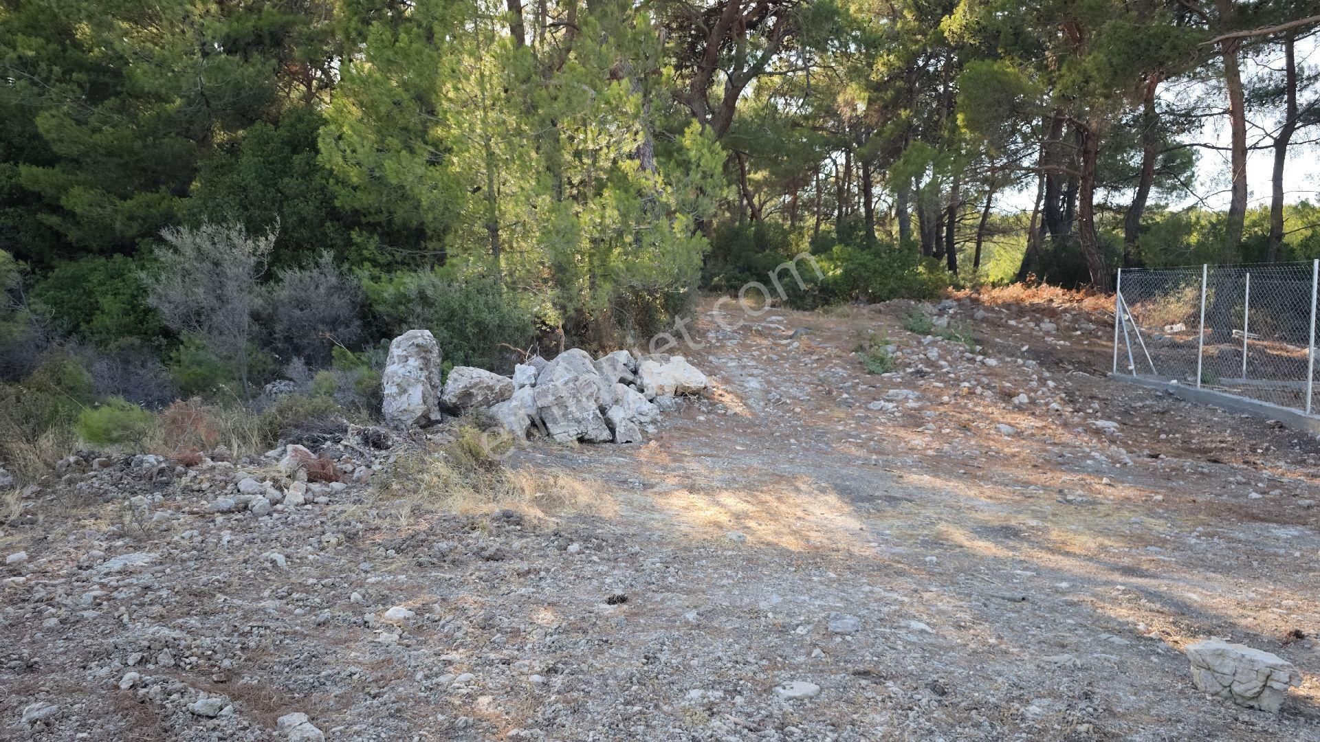 Urla Kadıovacık Köyü Satılık Tek Tapu Tarla - Görsel 20