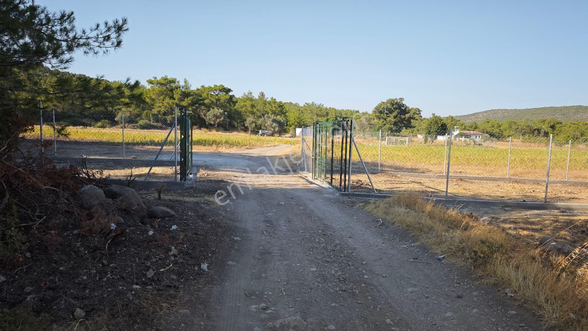 Urla Kadıovacık Köyü Satılık Tek Tapu Tarla