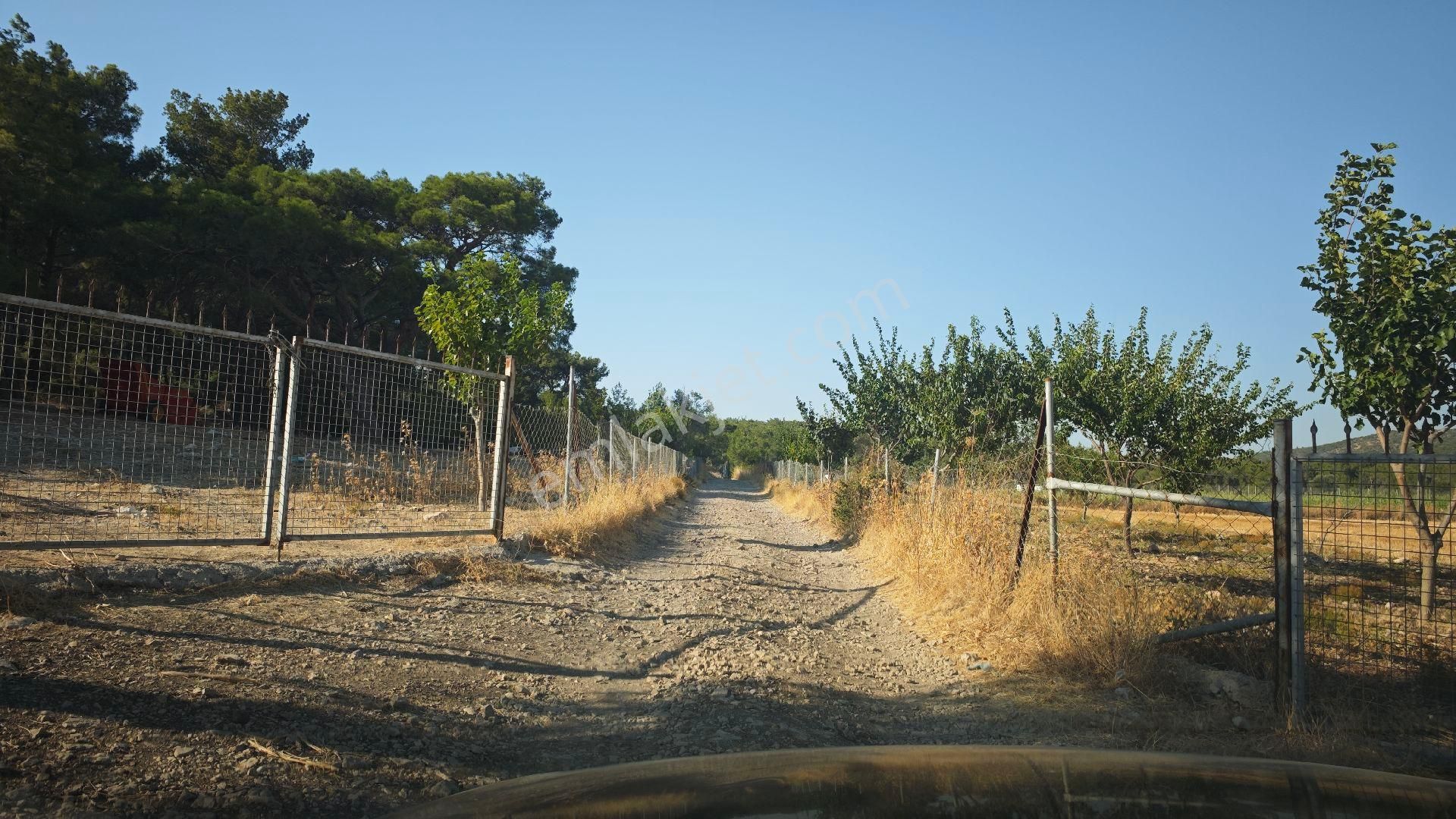 Urla Kadıovacık Köyü Satılık Tek Tapu Tarla - Görsel 6