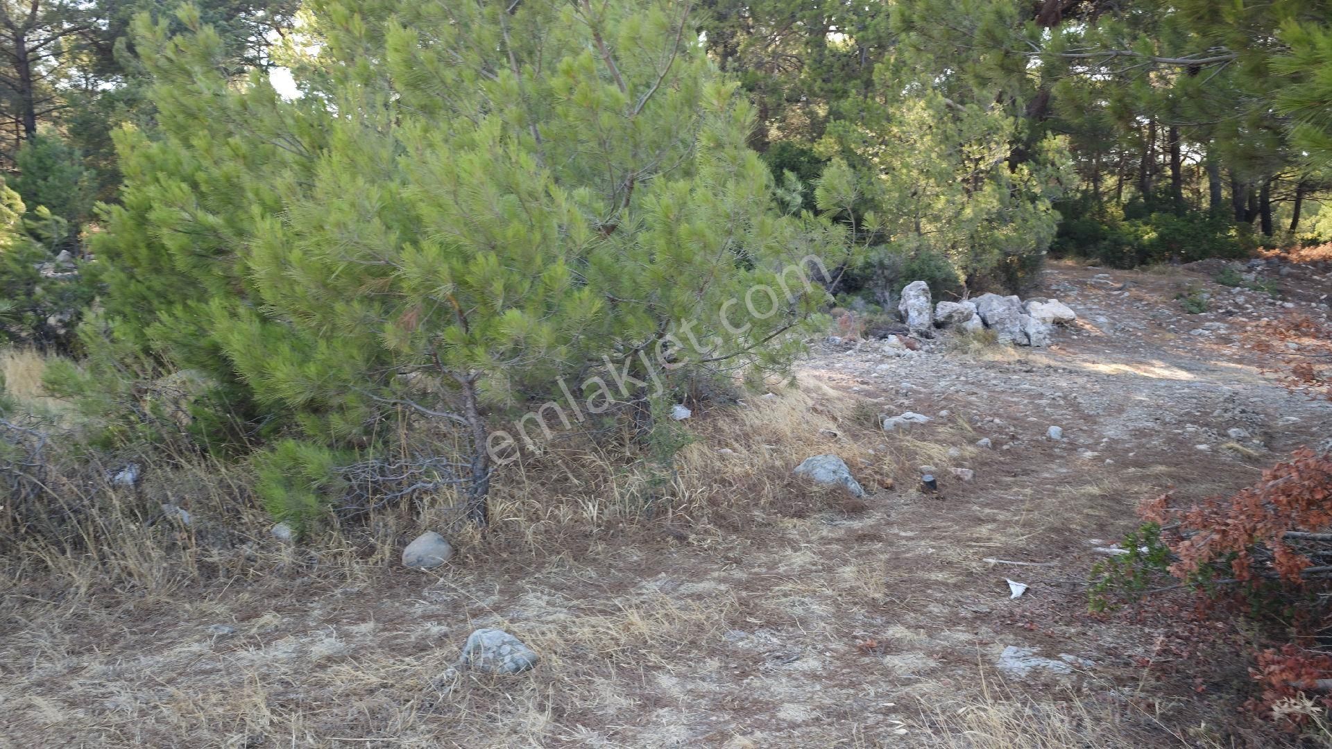 Urla Kadıovacık Köyü Satılık Tek Tapu Tarla - Görsel 10