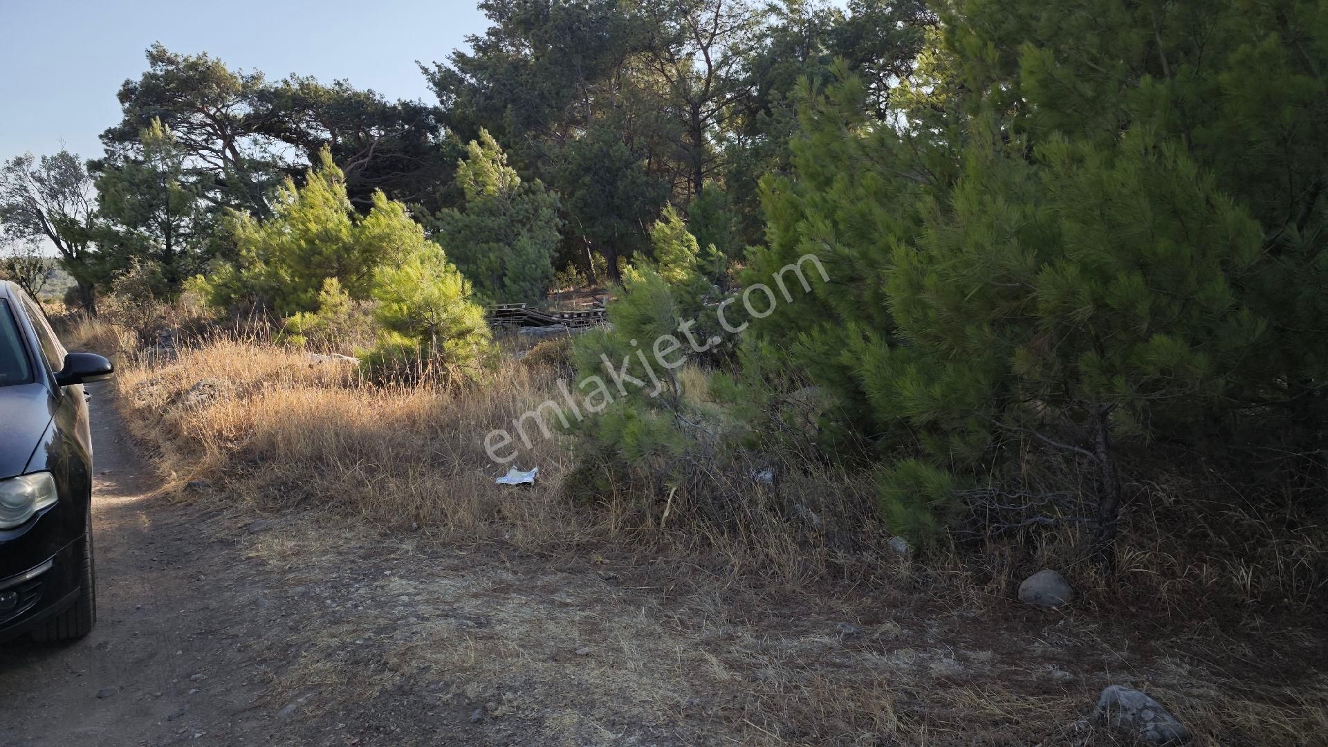 Urla Kadıovacık Köyü Satılık Tek Tapu Tarla - Görsel 11