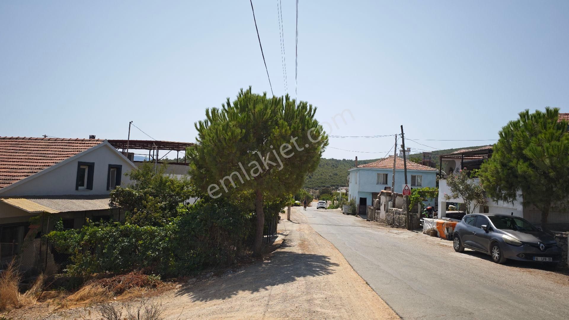 Urla Kadııvacık Köyü Köy İçi Yoluna Cephe Satılık Arsalar - Görsel 4
