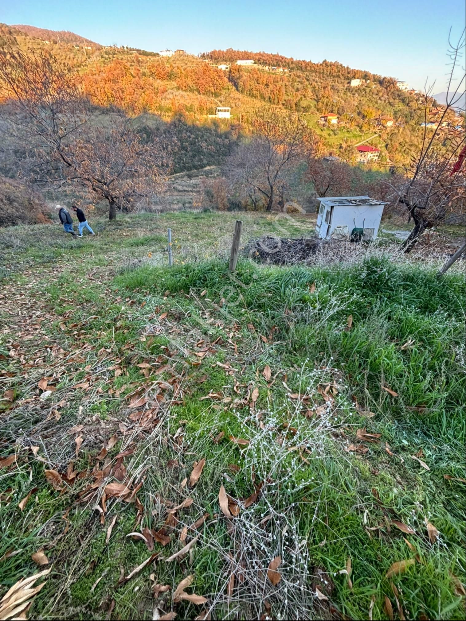 Sezgin Emlak Dan Yaylapınar Da Köy İmarlı Arsalar - Görsel 7