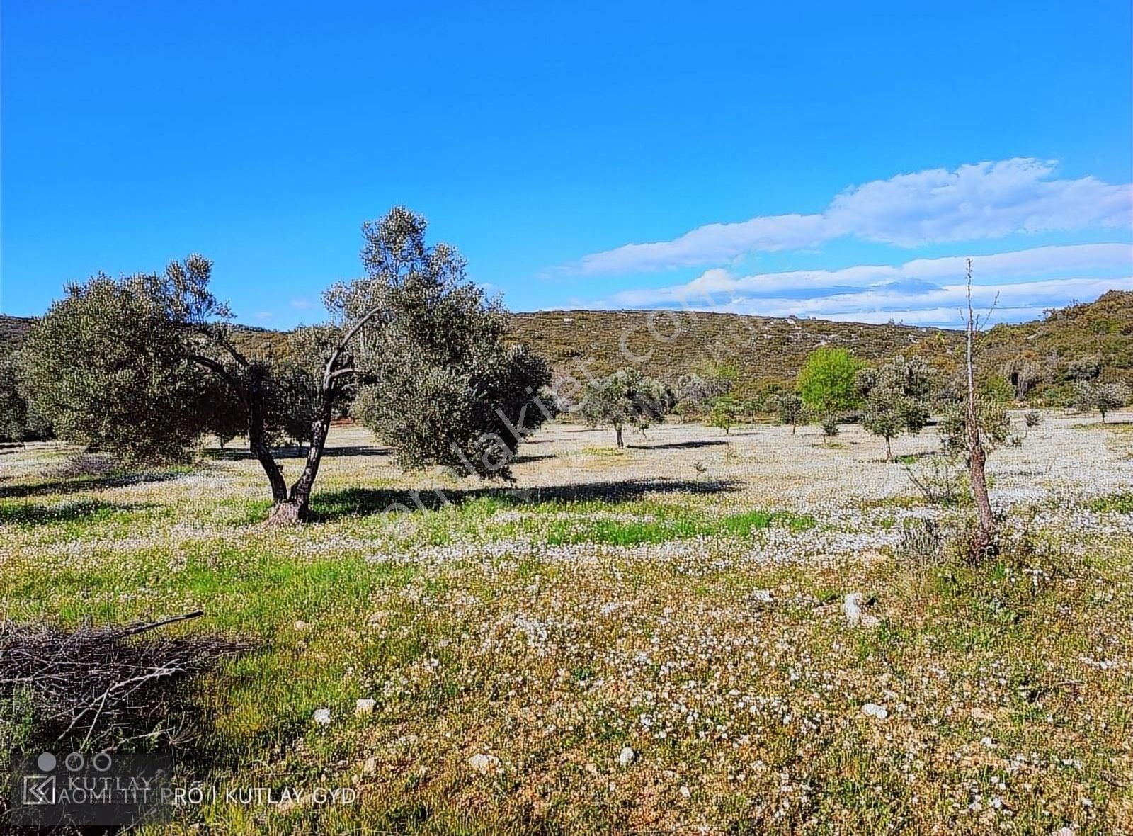 Urla Kadıovacık Köyü Resmi Yola Cephe Satılık Tek Tapu Tarla - Görsel 6