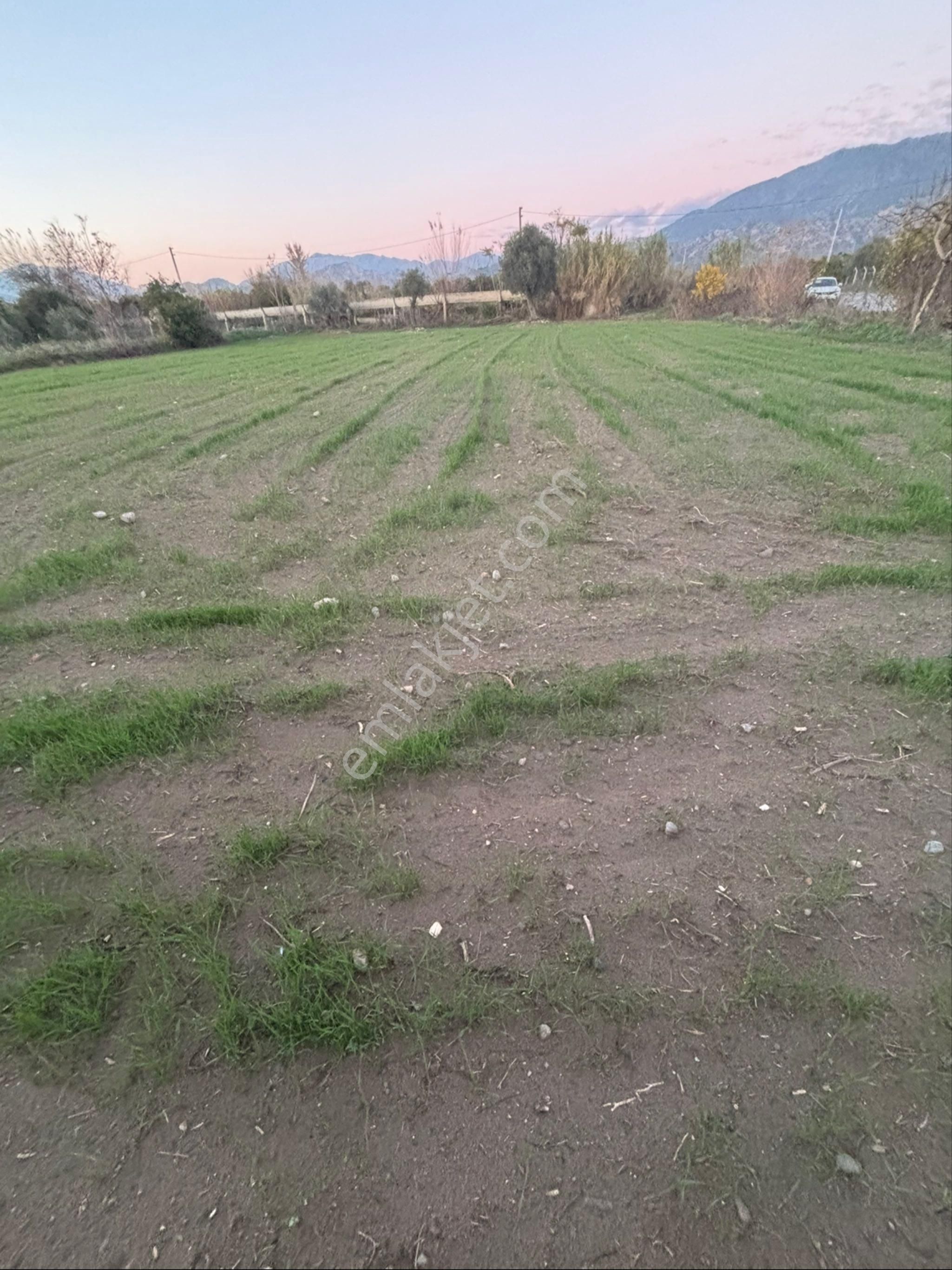 Sezgin Emlak Dan Nazilli Sinekler Asfalt Kenarı Satılık Bahçe - Görsel 16
